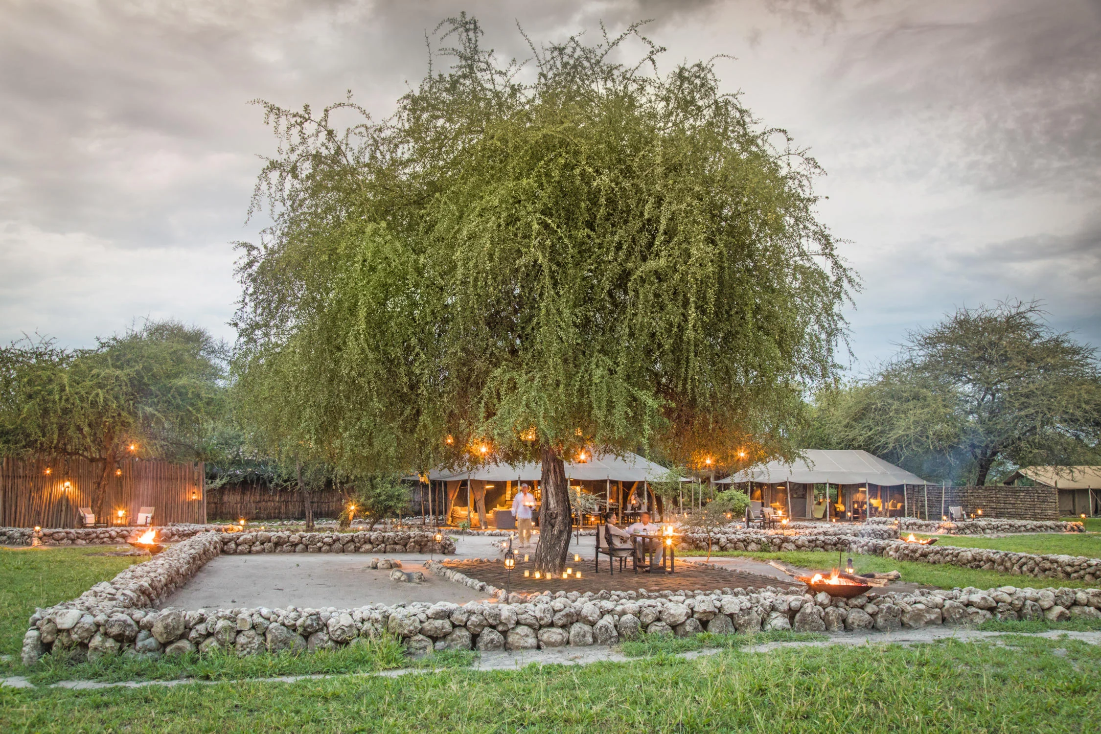 The camp lit at dusk beneath a large tree