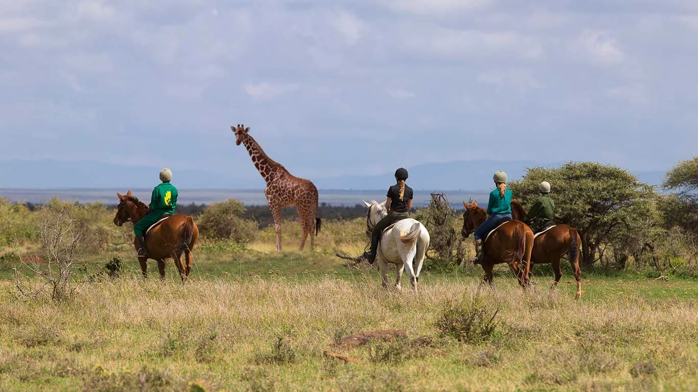 Riders on horseback near a giraffe