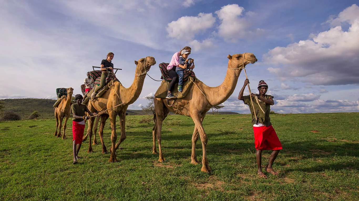 Guests on camels with Samburu guides