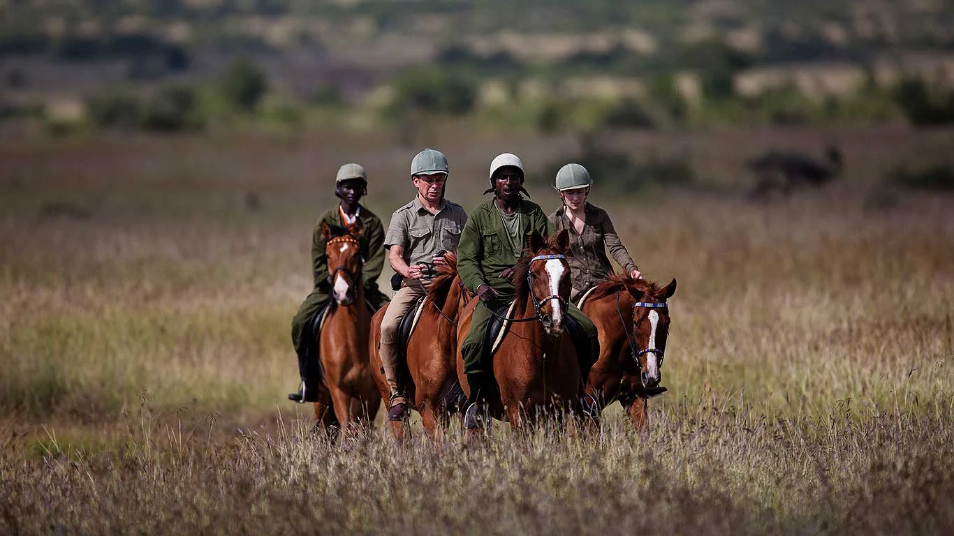 Riders on horseback on the plains