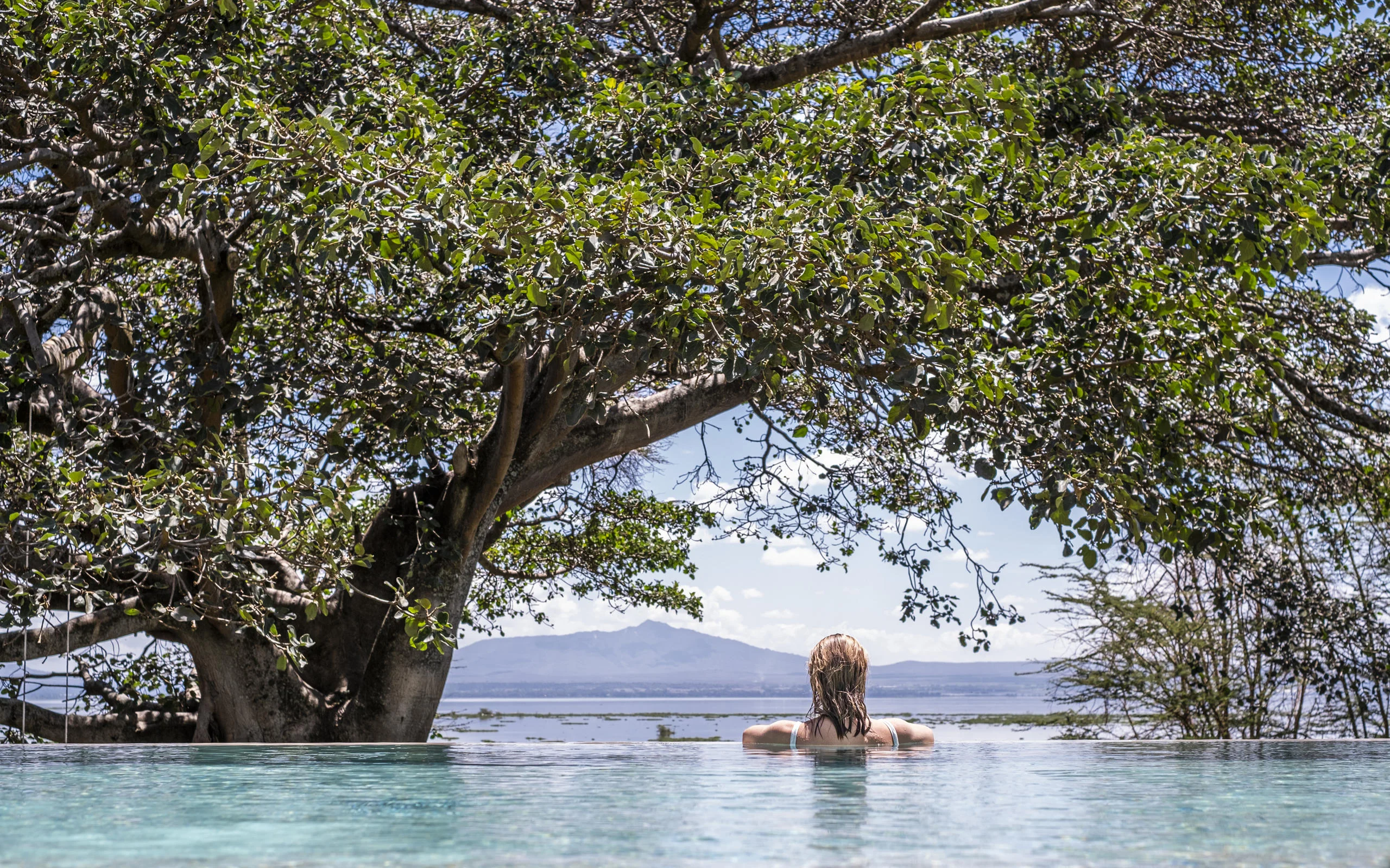 The pool beneath a fig tree with the lake beyond