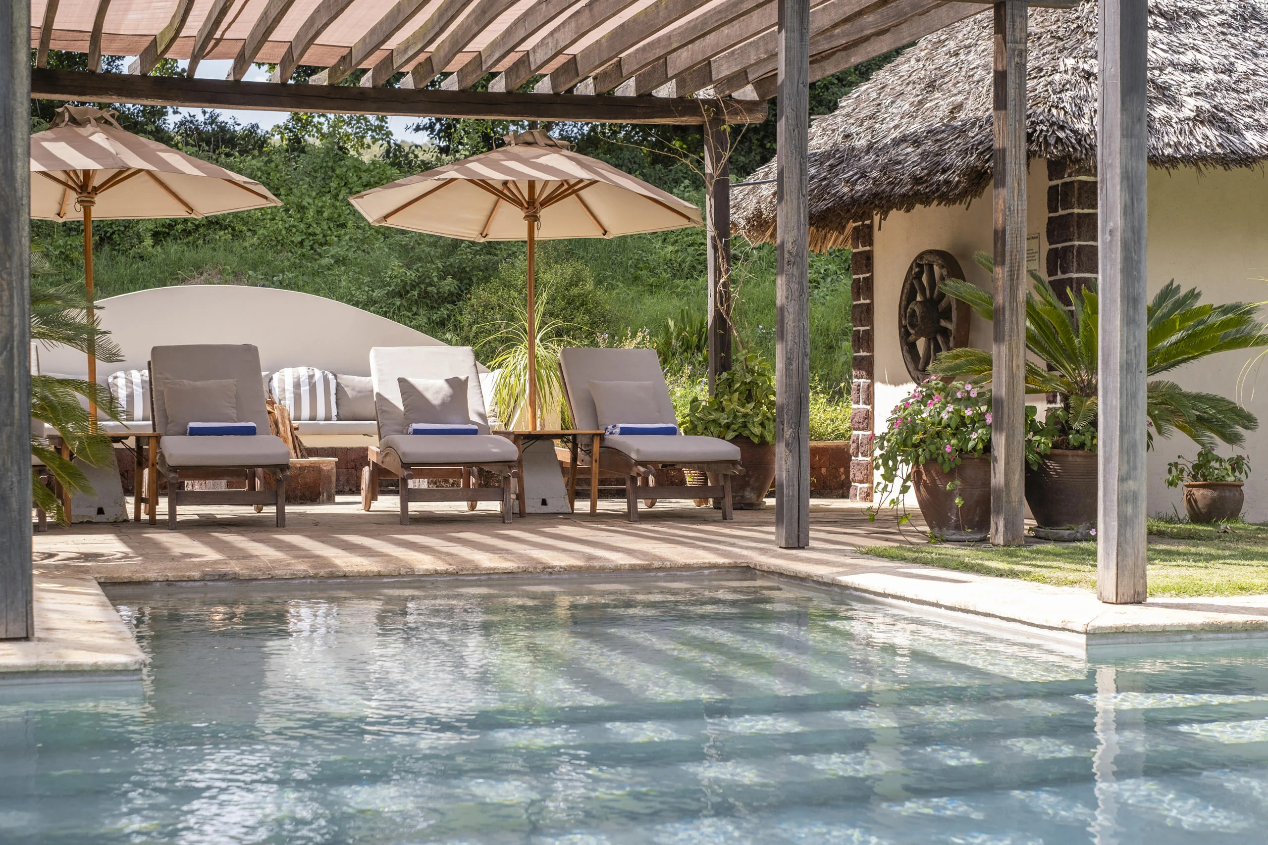 The pool with parasols beside the house