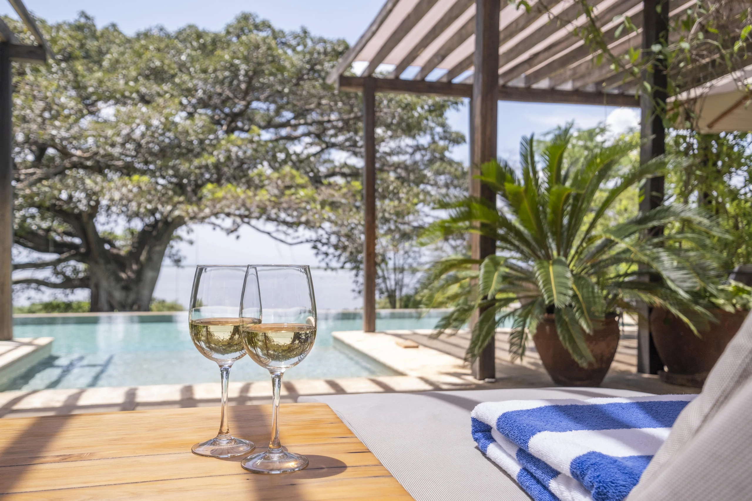 Two glasses of wine beside the pool