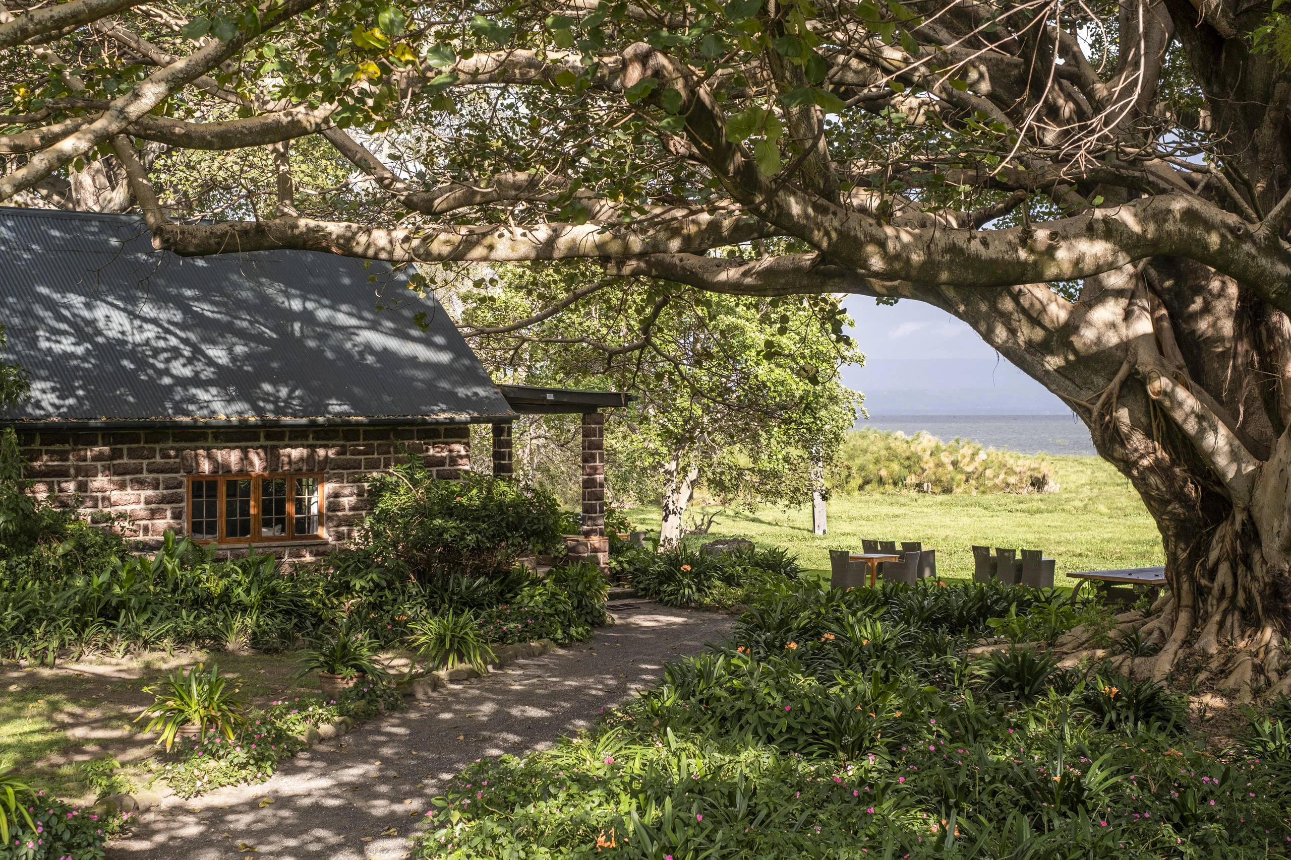 A stone cottage beneath the trees