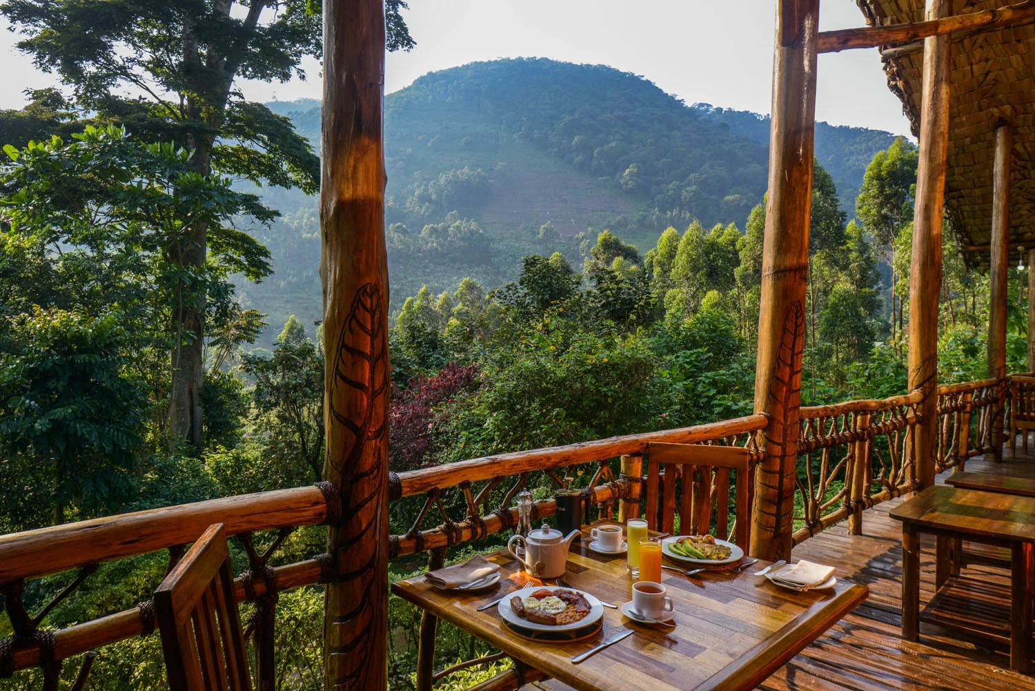 Breakfast on the veranda with the forested hills beyond