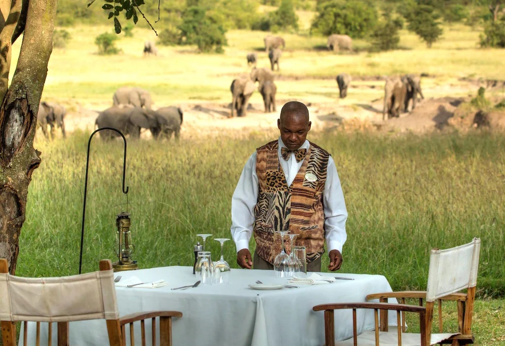A member of staff laying a table on the plains with elephants beyond
