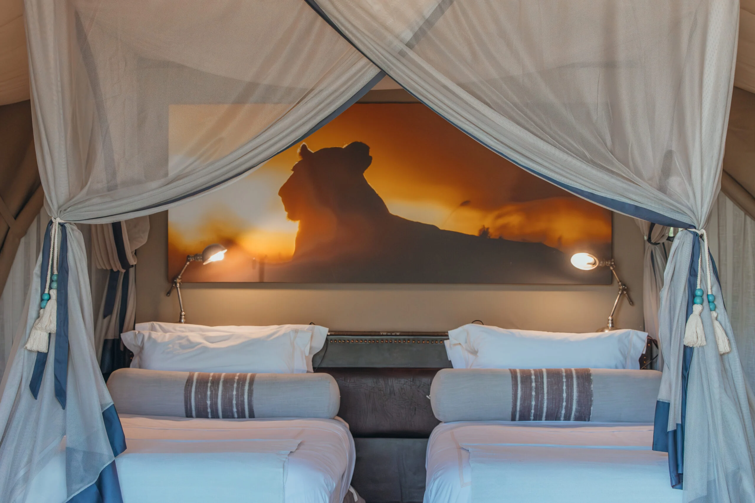 Twin beds under a canopy