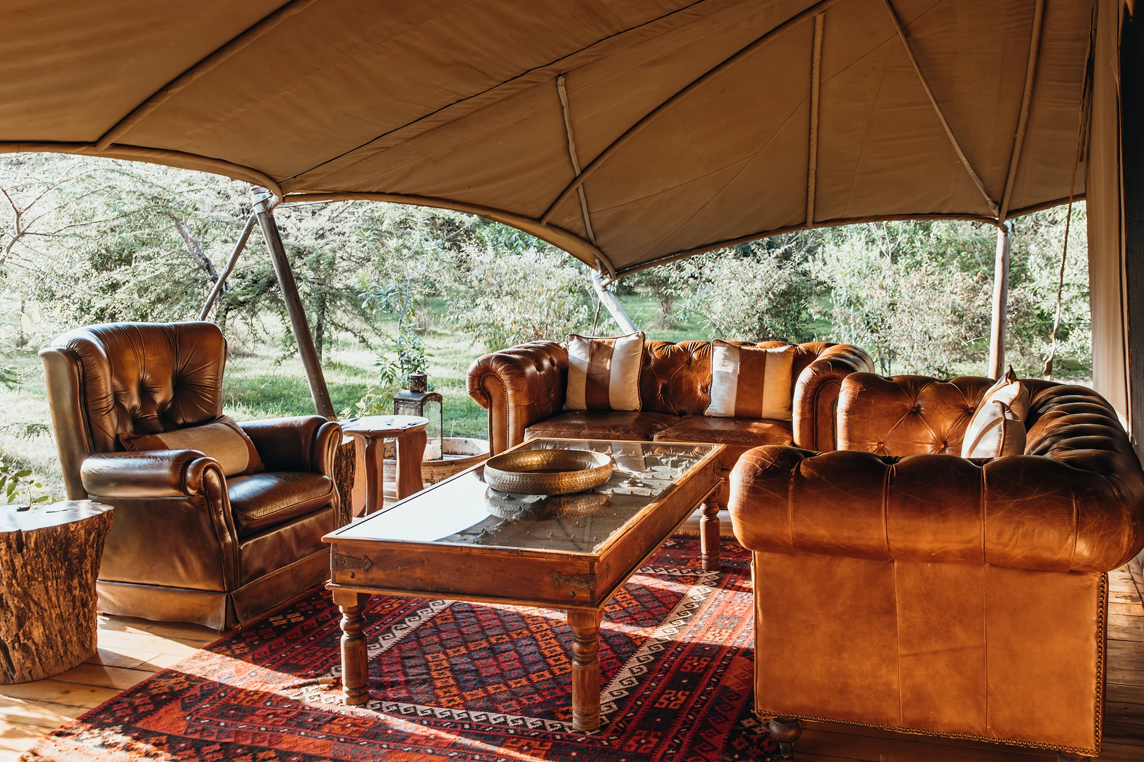 The lounge tent looking out to the trees