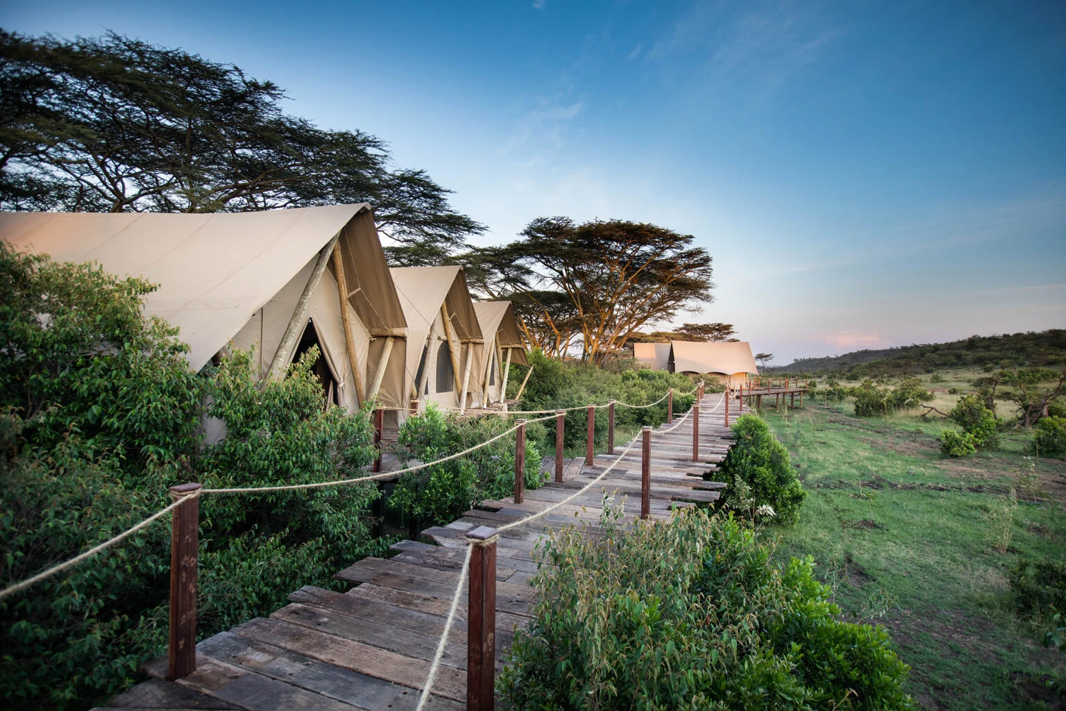The walkway between tents at dusk