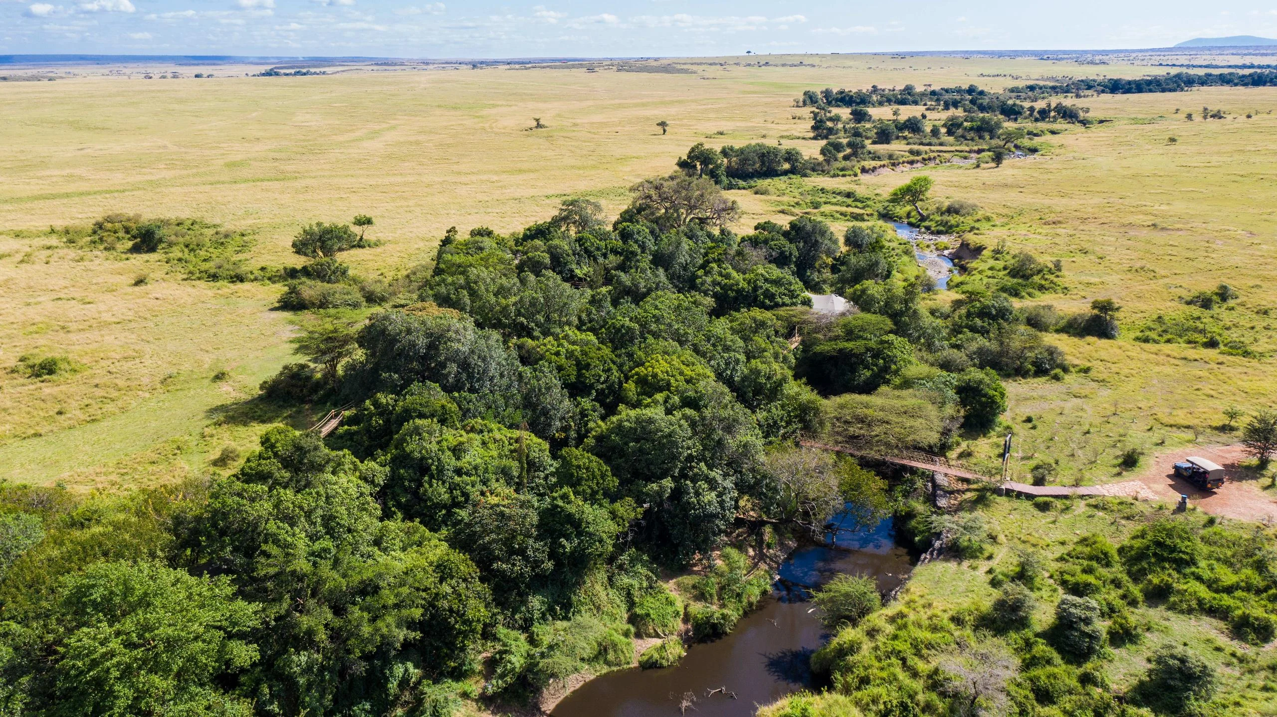 The river winding through the forest on the plains, from the air