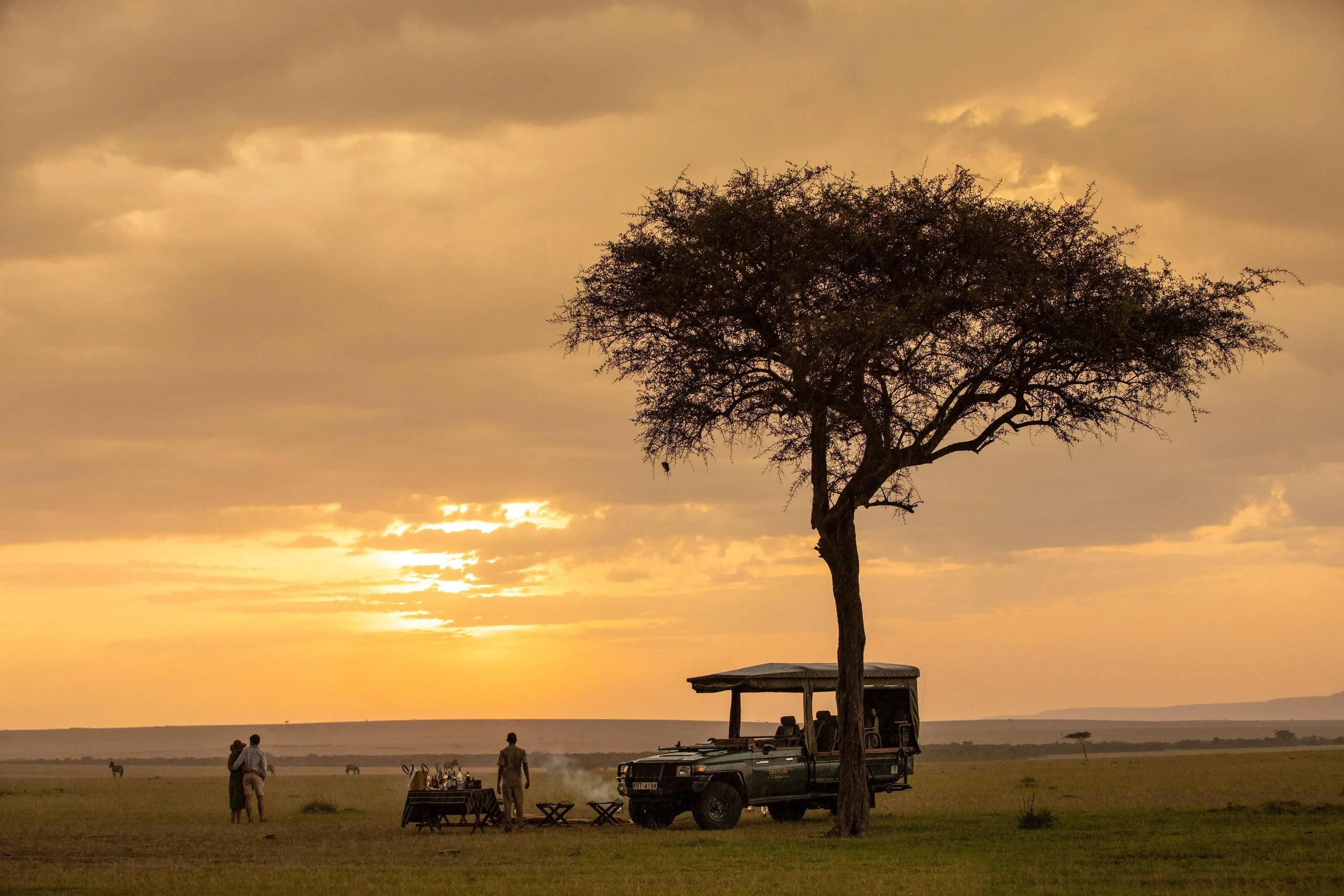 A safari vehicle beneath an acacia at sunset