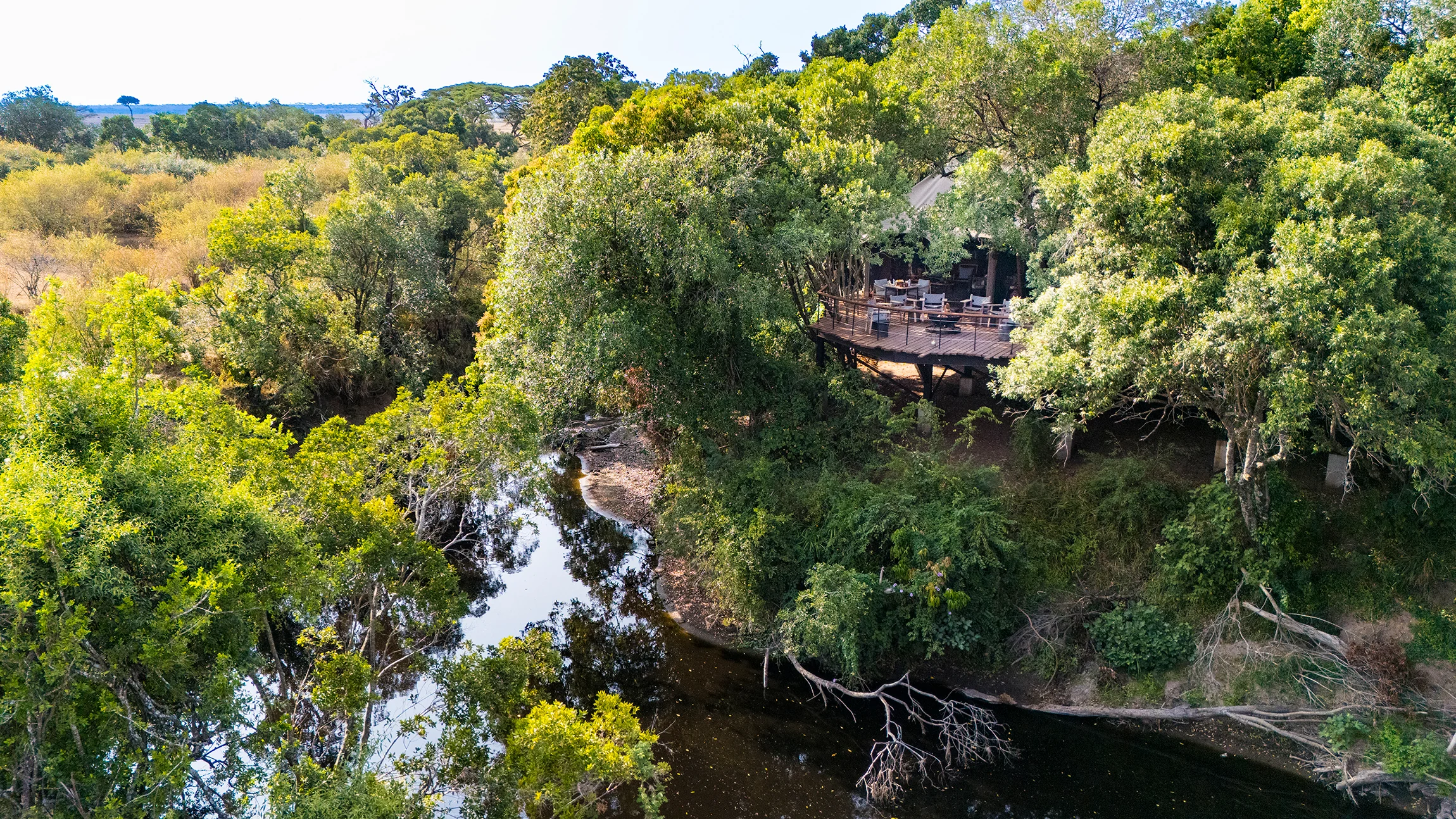 The camp's riverine forest from the air