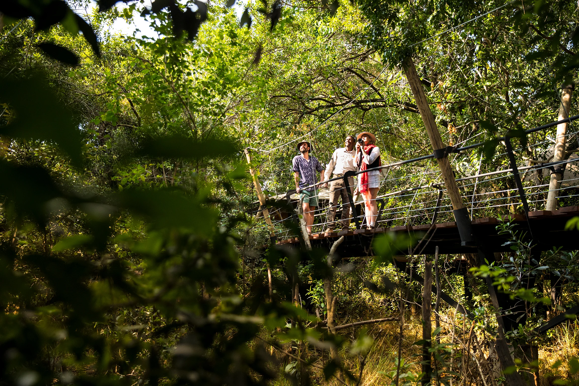 Guests on a walkway through the trees