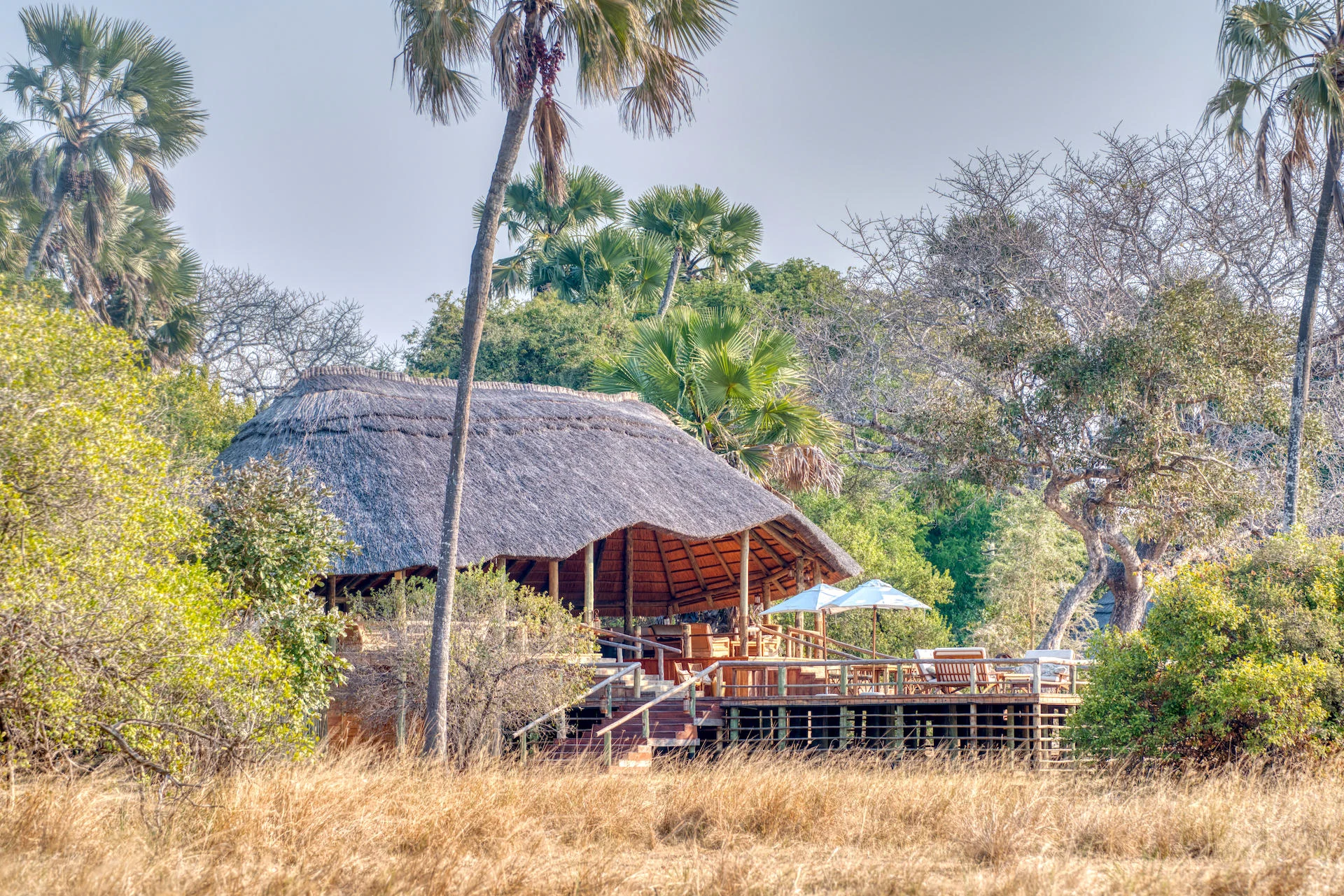 A thatched tent among the palms
