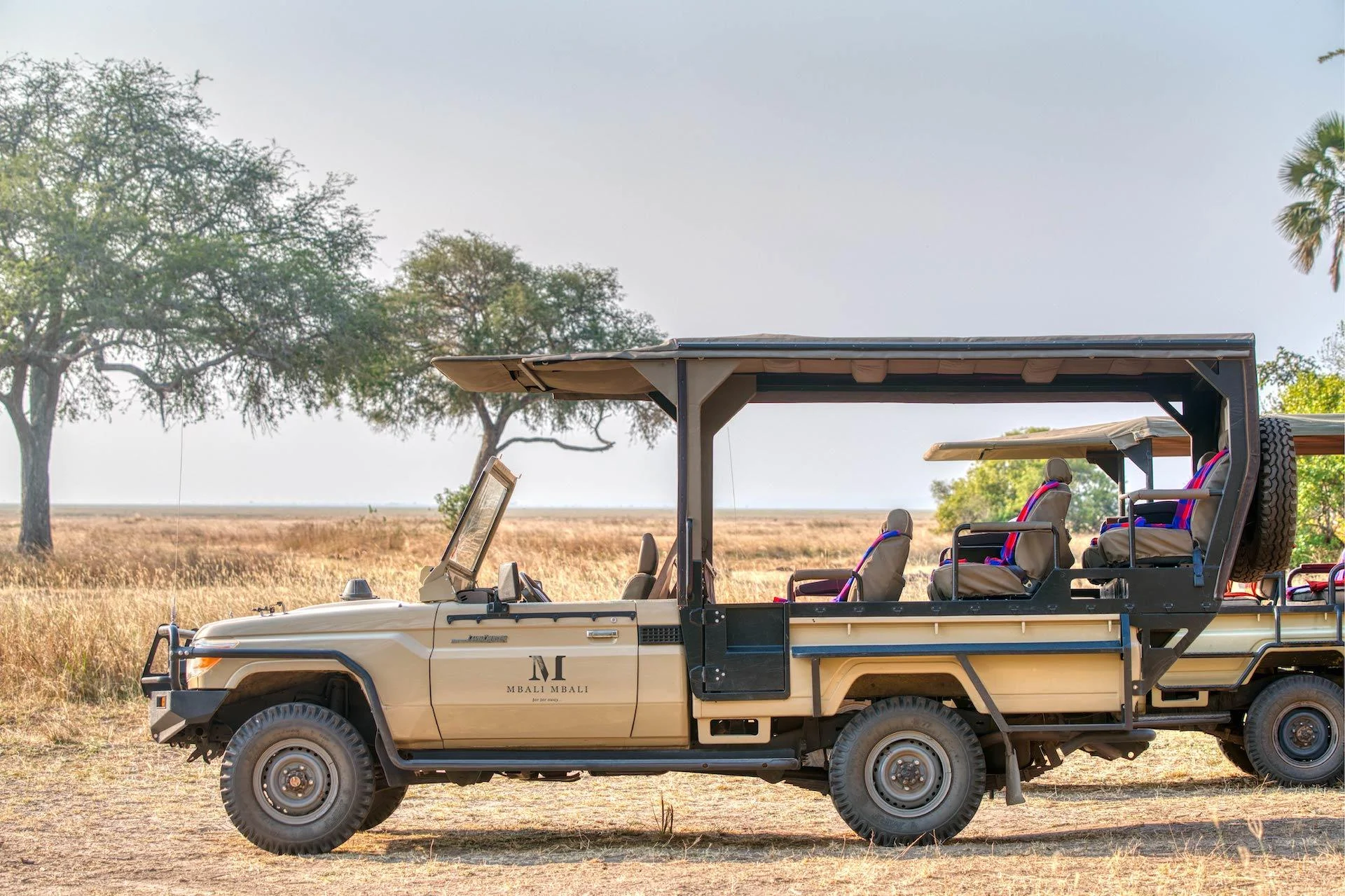 An open safari vehicle beneath a tree