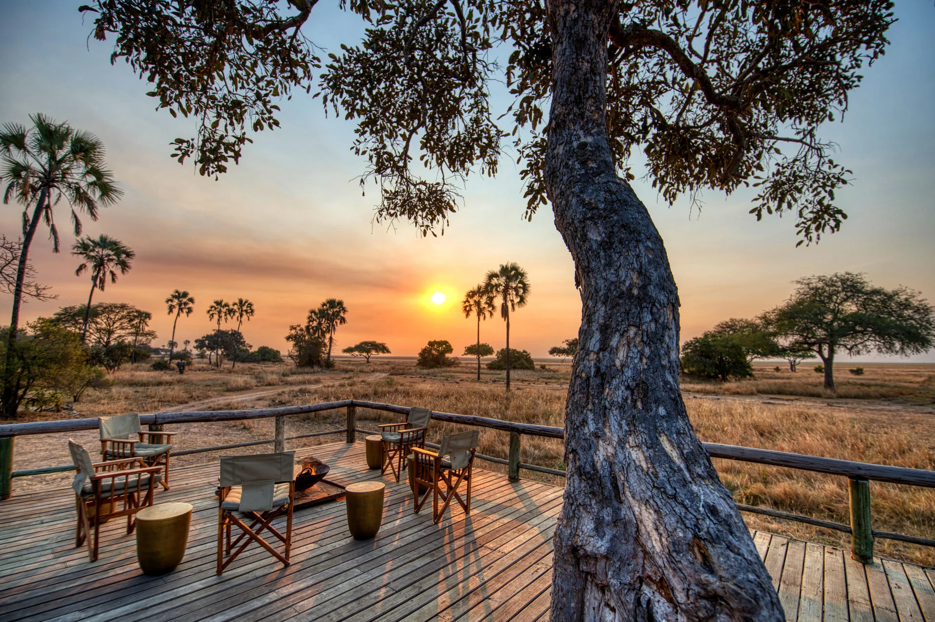 The deck beneath a tree at sunset