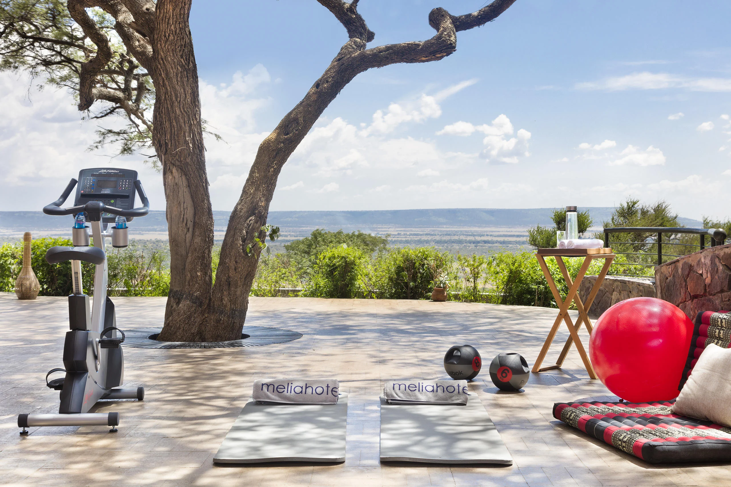 Exercise equipment set out on a terrace beneath a tree