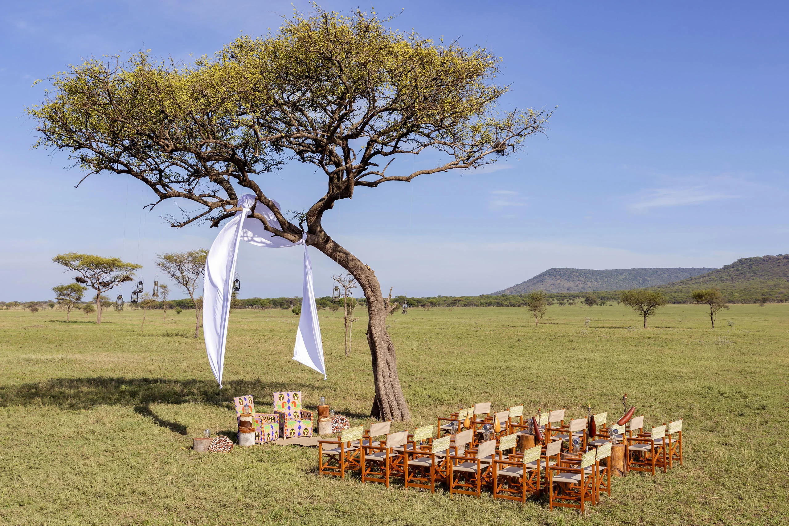 Chairs set out for a ceremony beneath an acacia