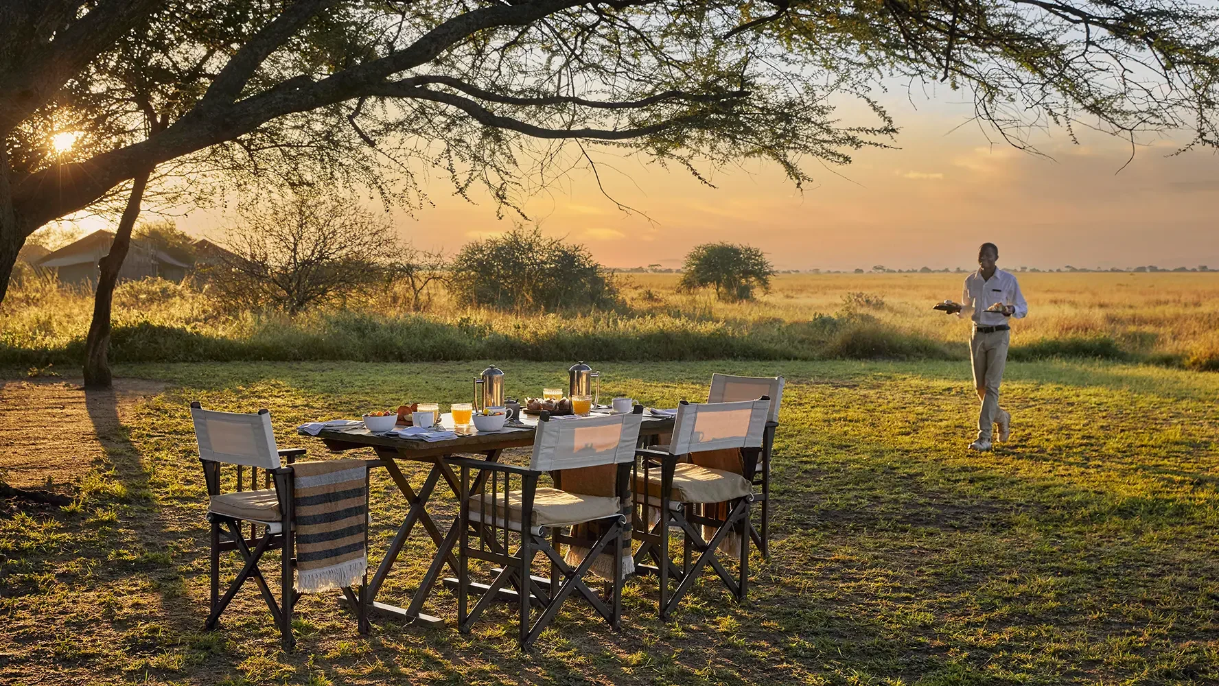 Breakfast laid under an acacia on the plains