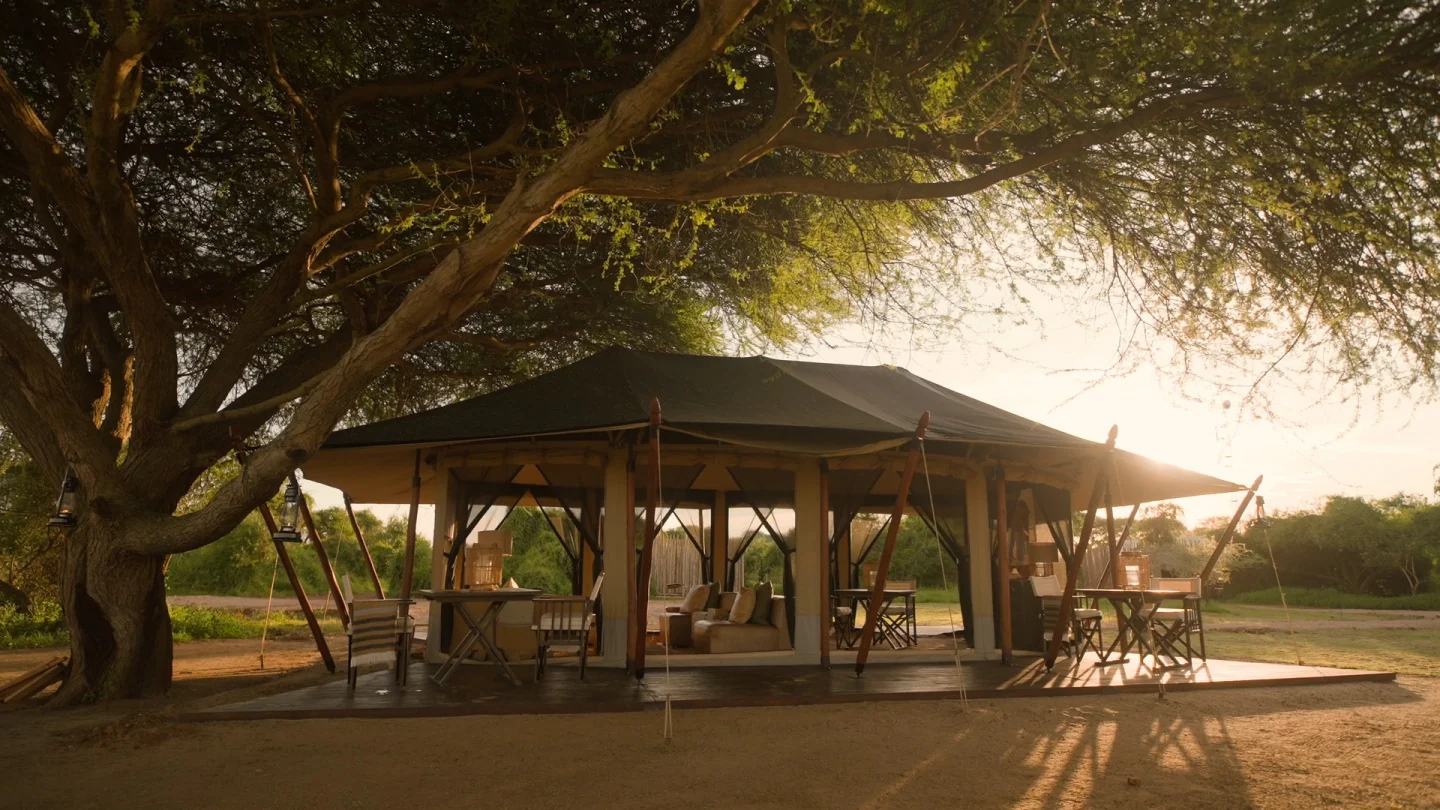 The main tent beneath a large tree