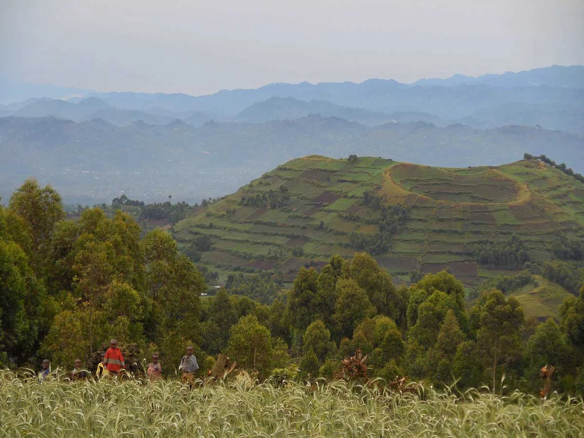 The terraced hills below the volcanoes