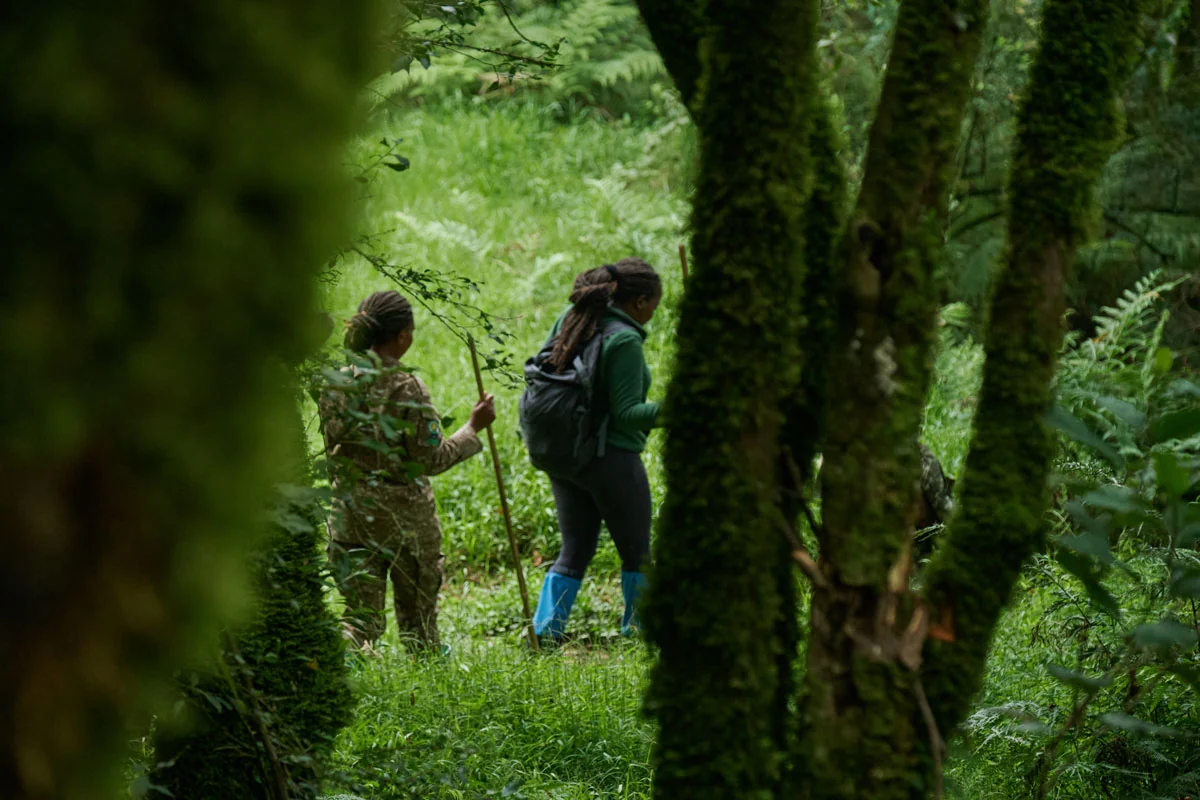 Guests walking with a guide in the forest
