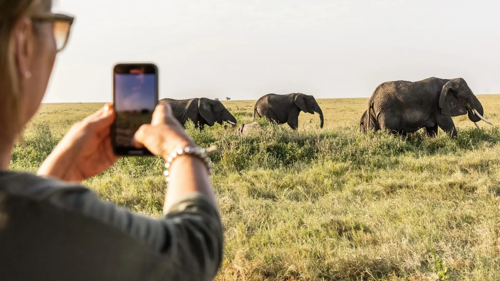 A guest photographing elephant on the plains