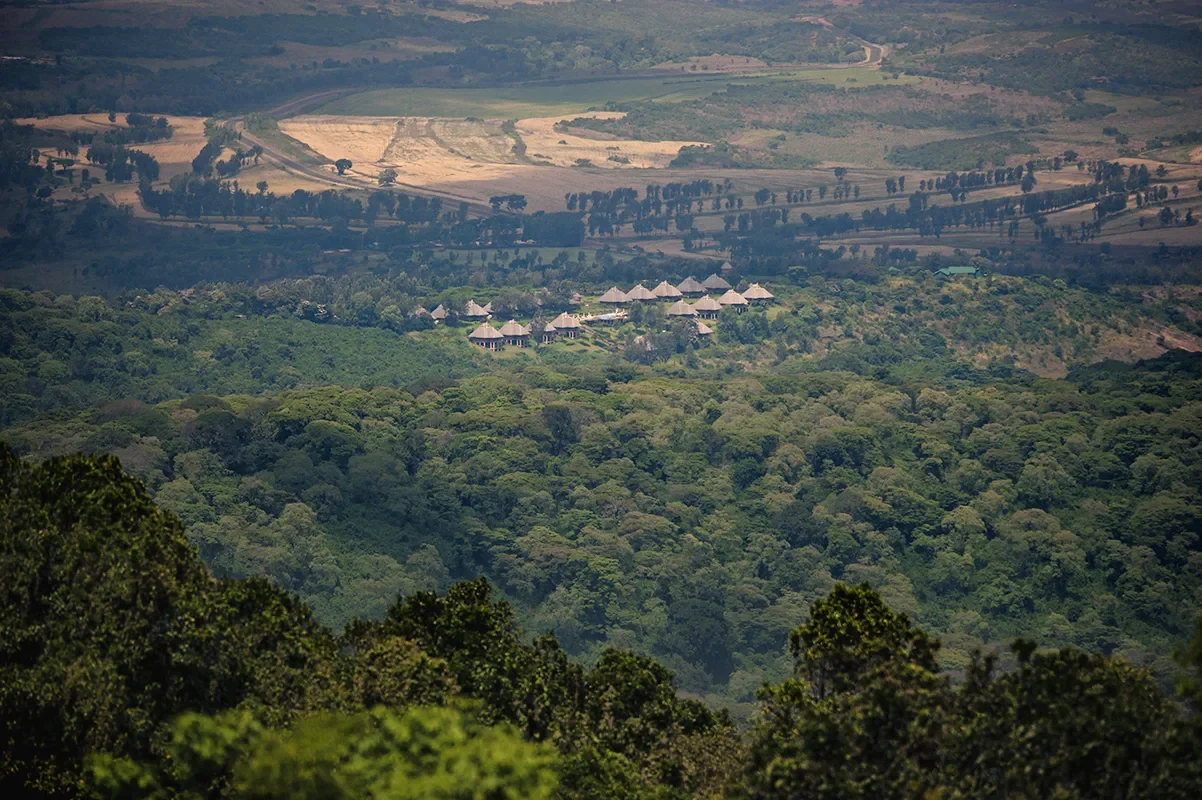 The lodge in the forest, seen from above