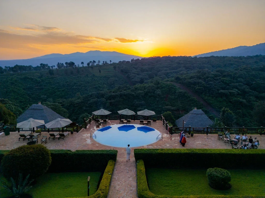 The pool and thatched cottages at sunset