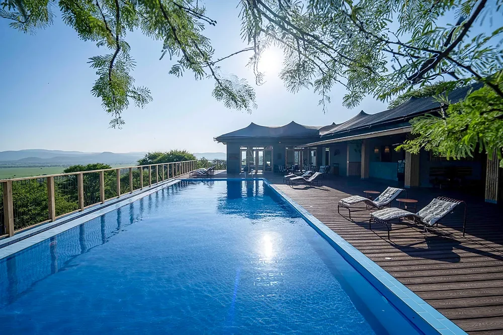 The pool with loungers beneath the trees