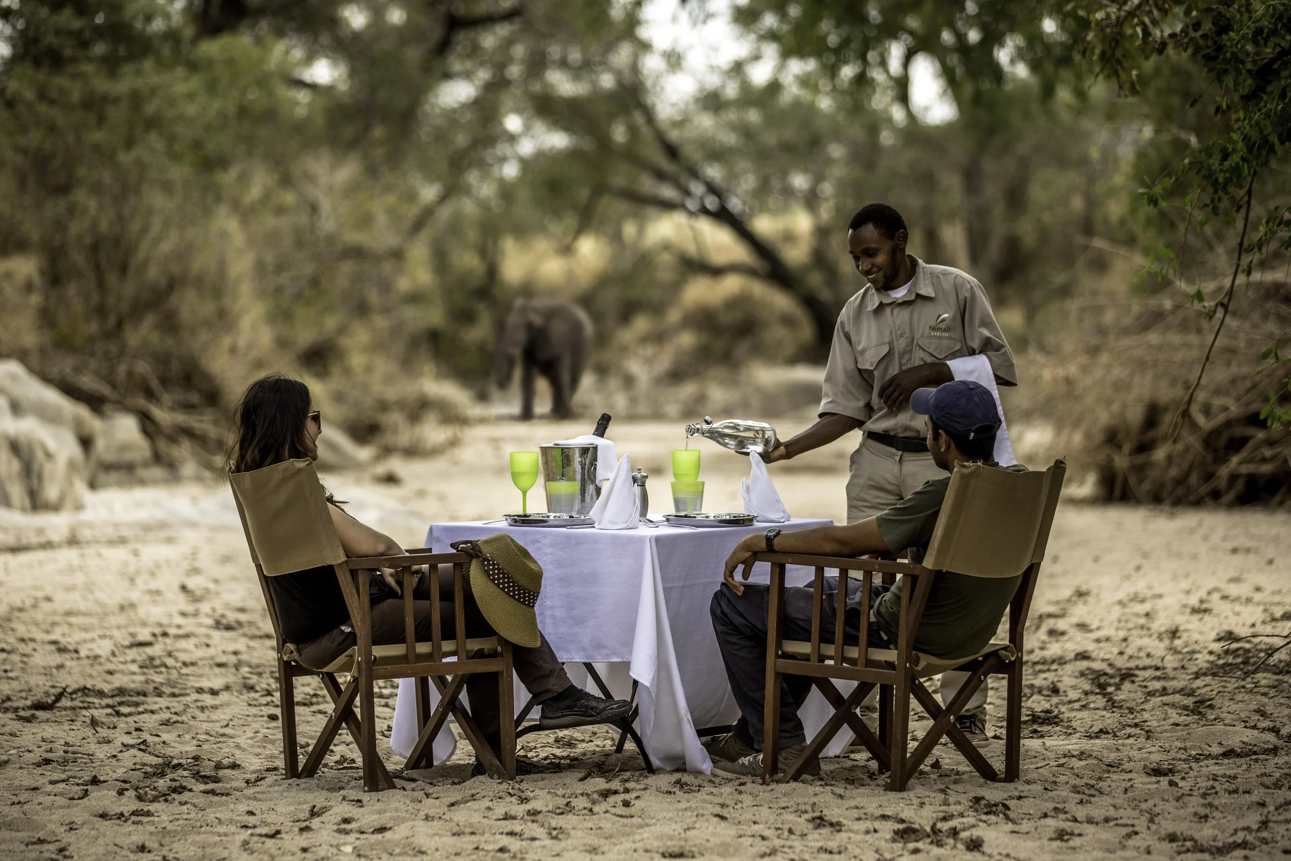 Guests at a bush lunch with a guide