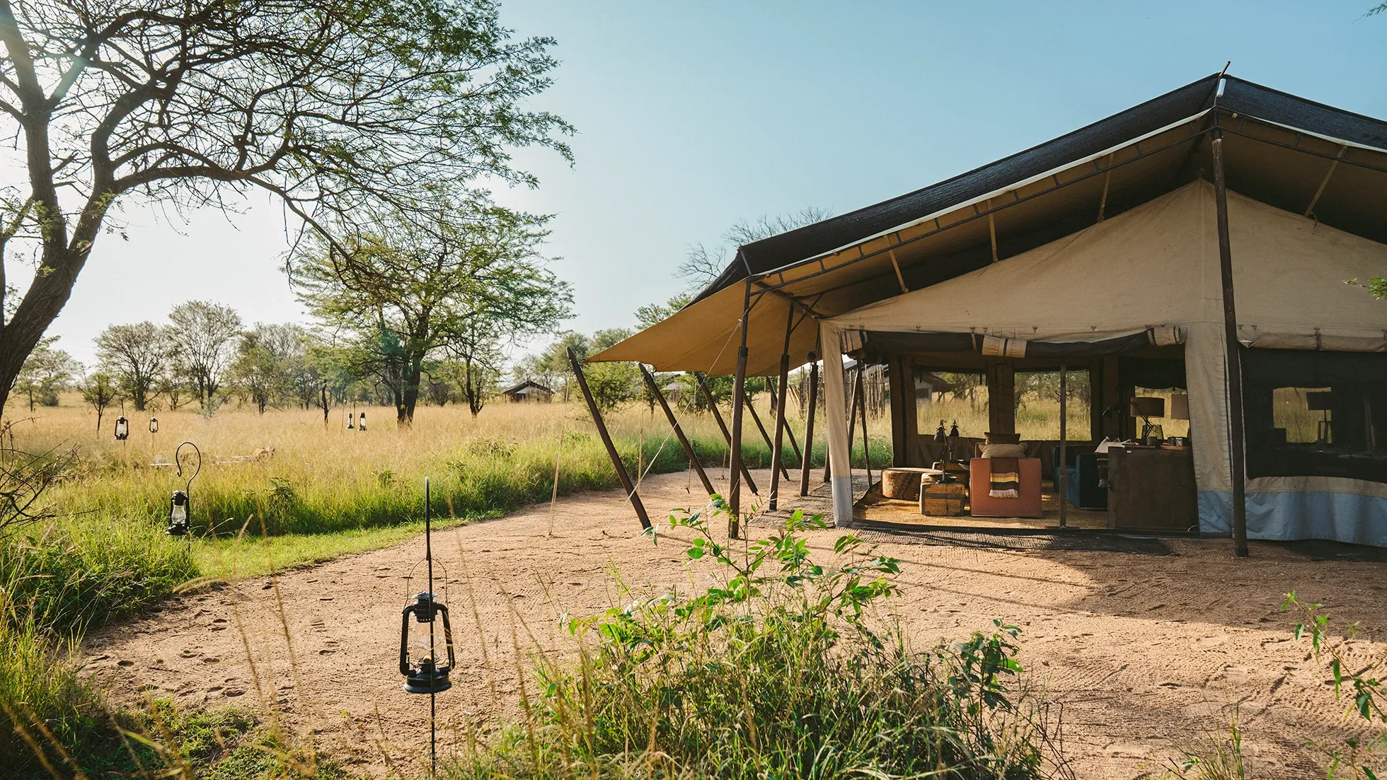 A guest tent beneath the trees with lanterns outside