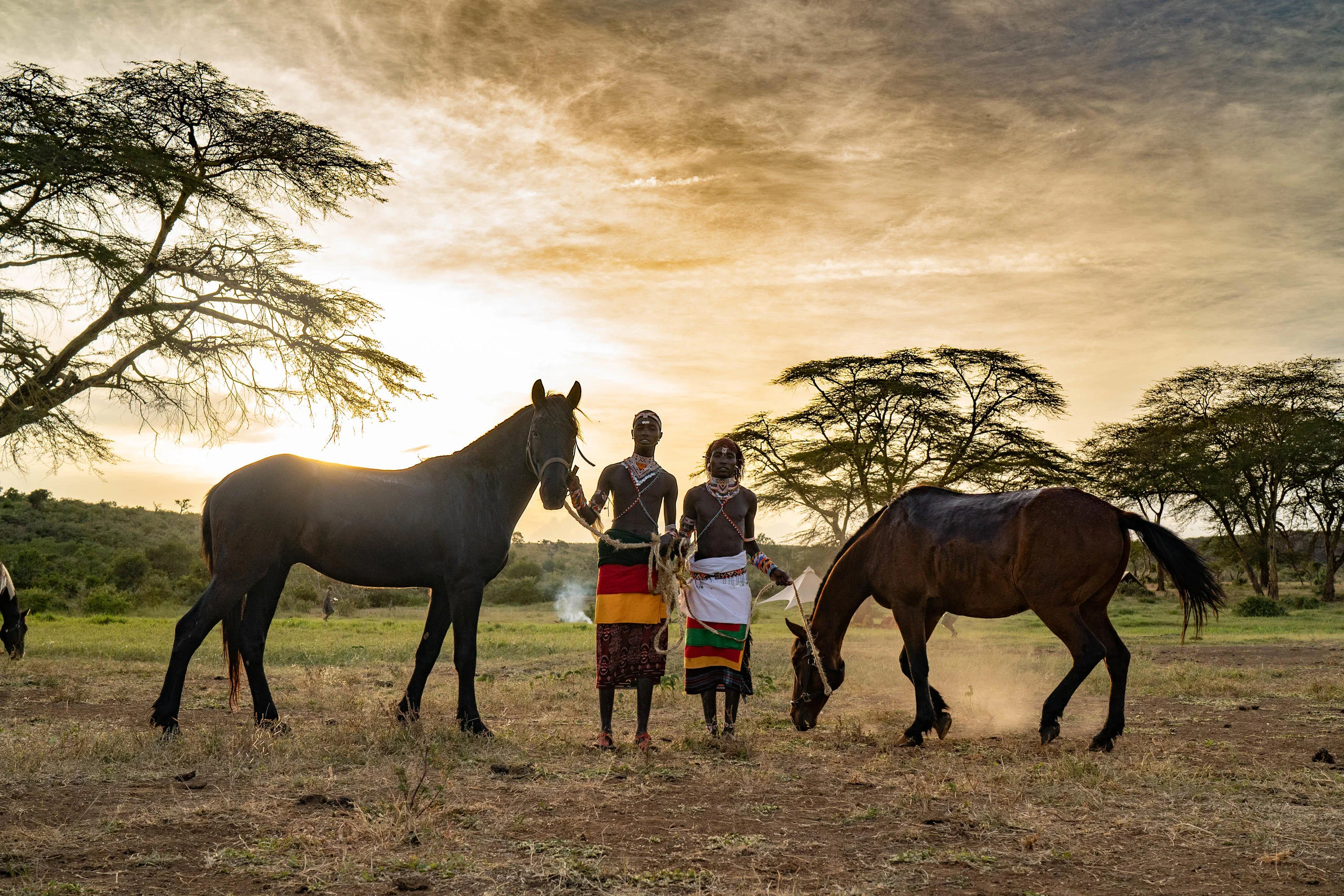 Two Samburu guides with horses beneath the acacias at sunset