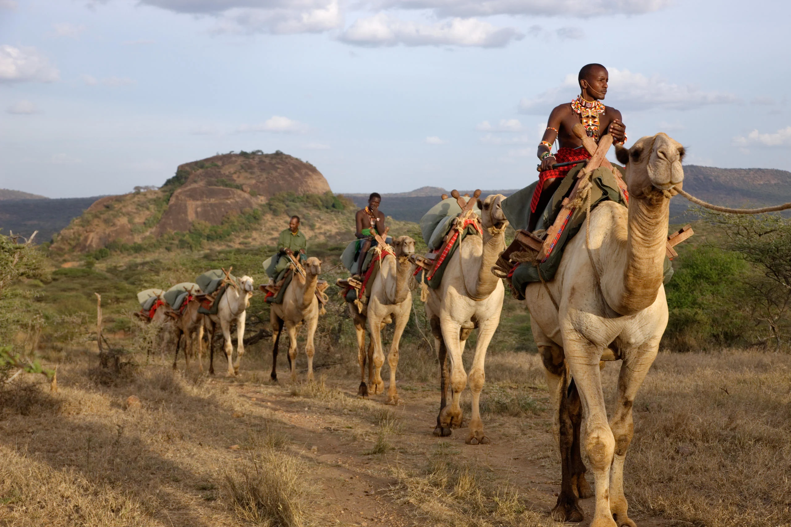 Samburu guides riding camels across the ranch