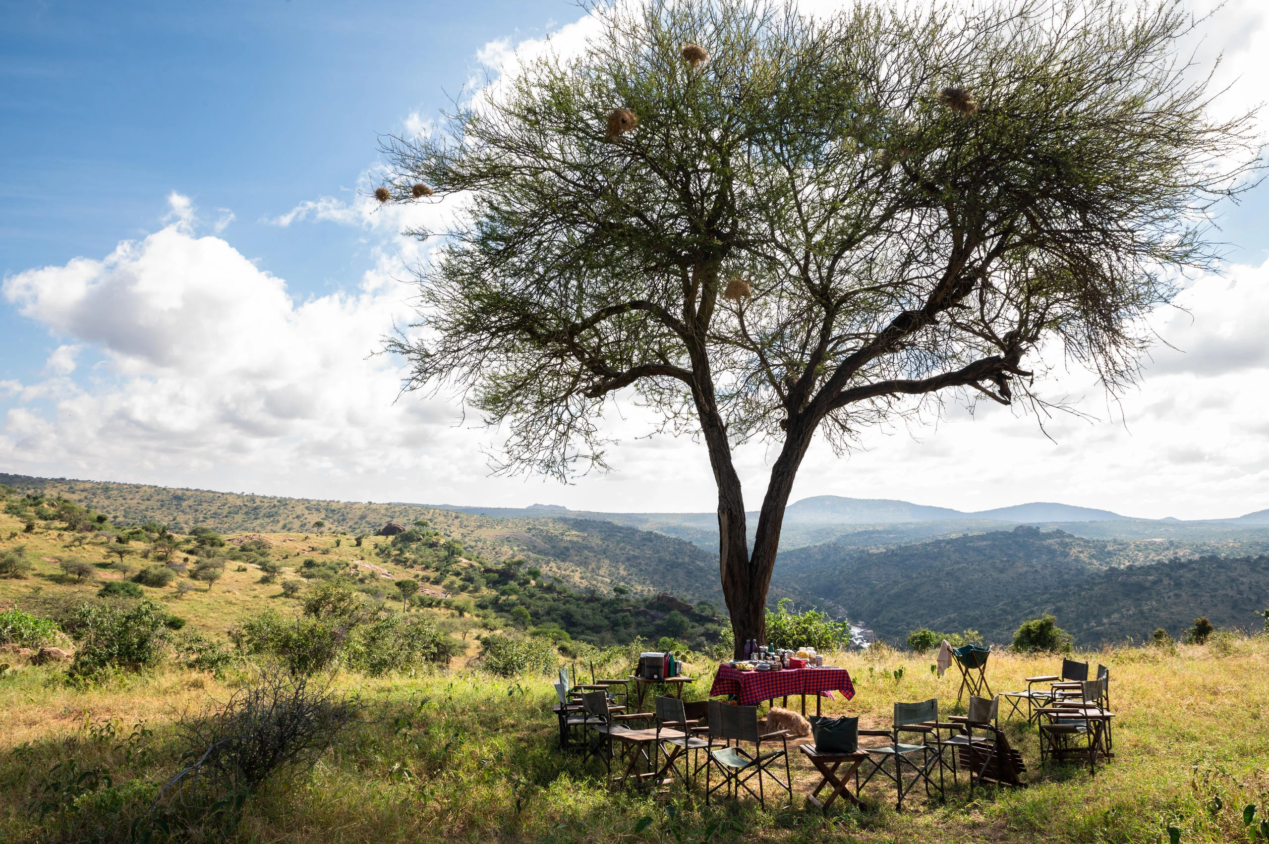 A table laid beneath a tree above the valley