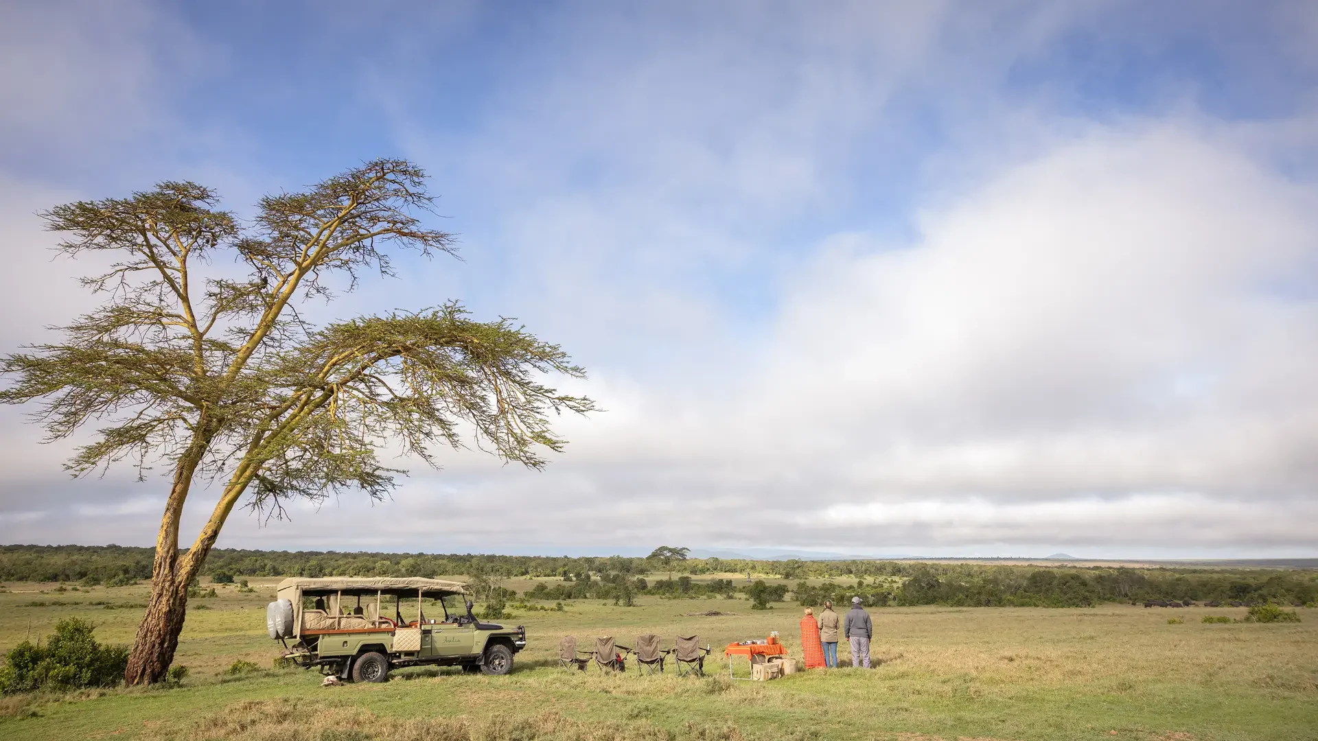 A bush breakfast under an acacia