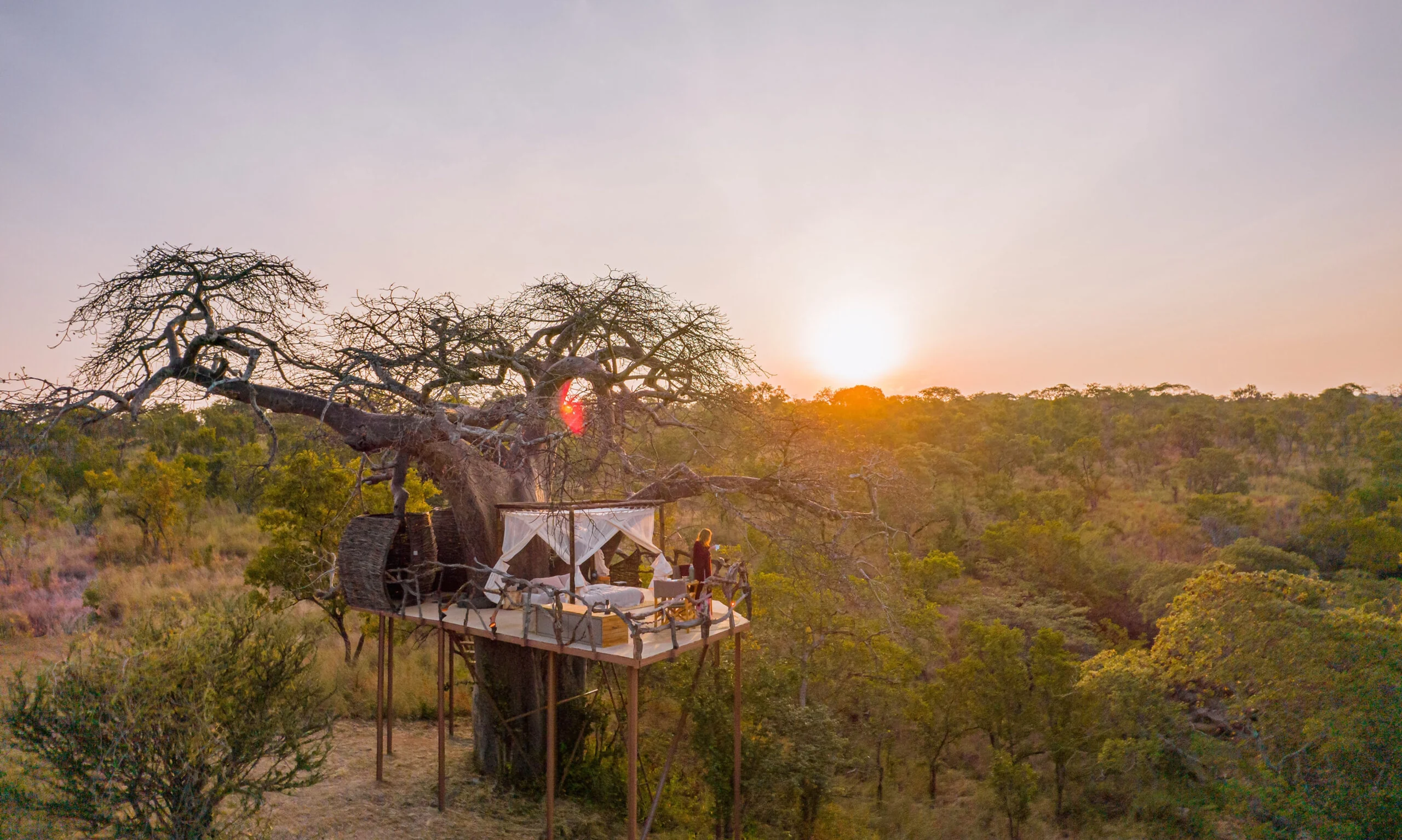 A bed set up on a platform in a tree for a night out, at sunset