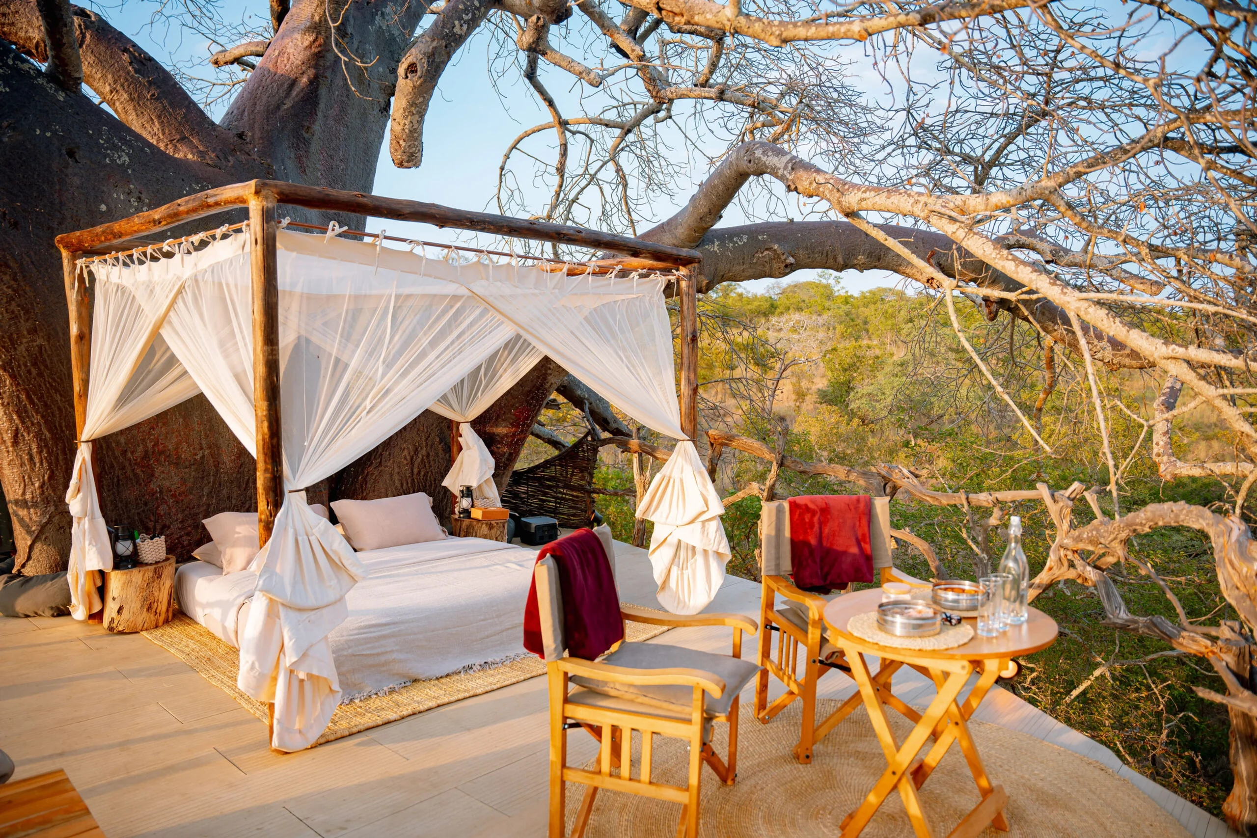 A four-poster bed on a deck beneath a baobab