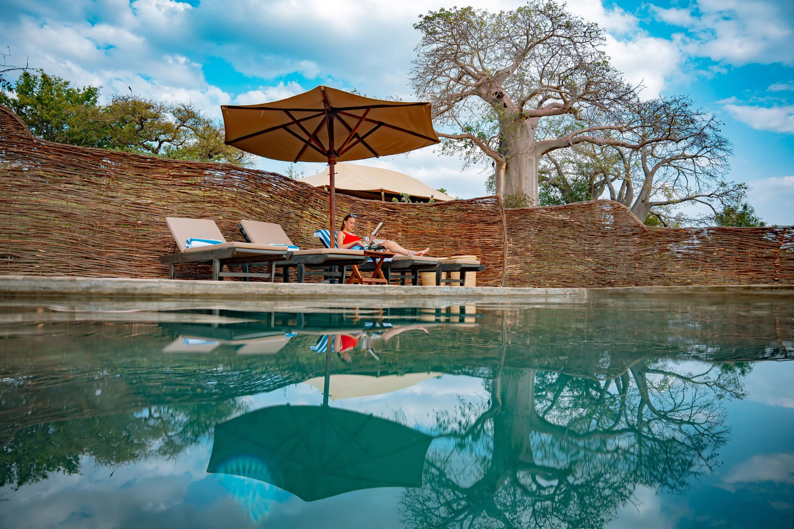 The pool with loungers and a baobab beyond