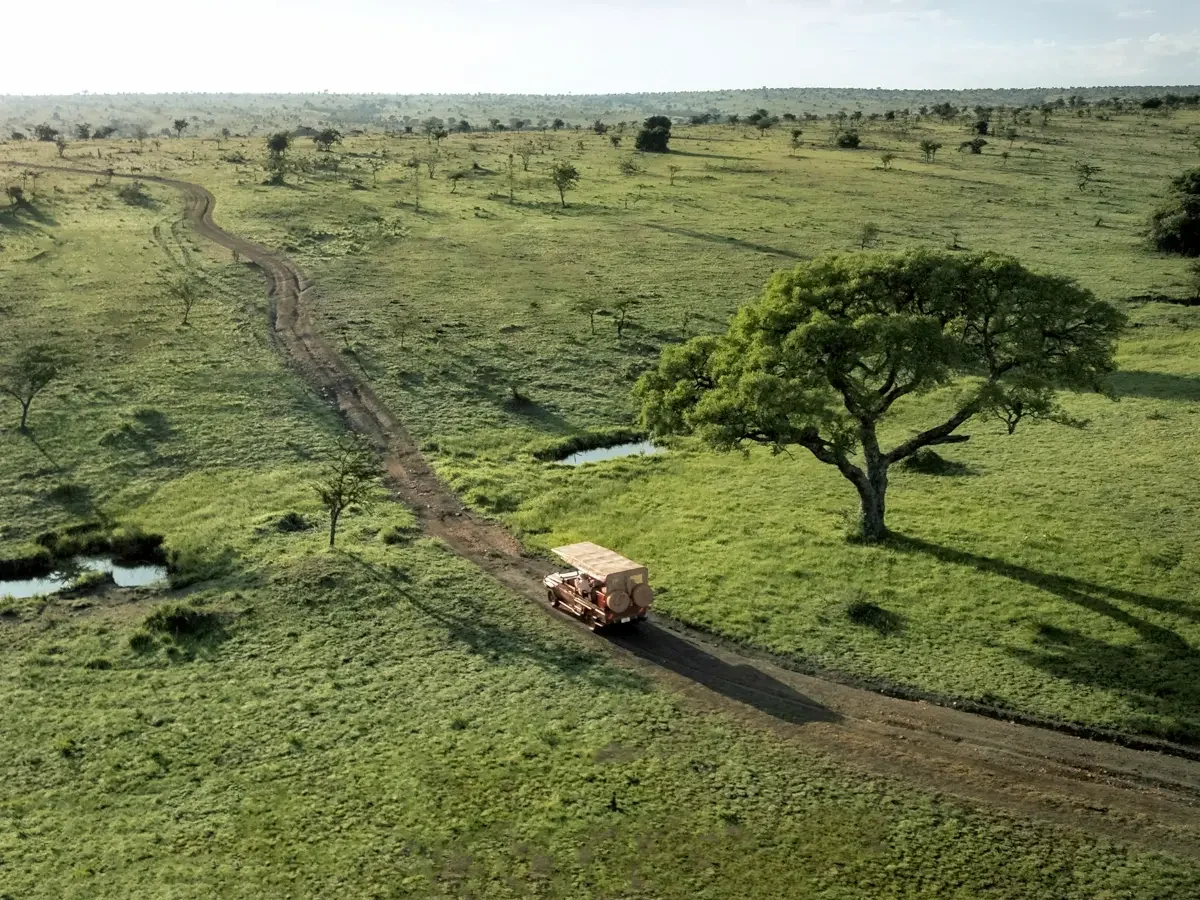The camp on the green plains, seen from the air