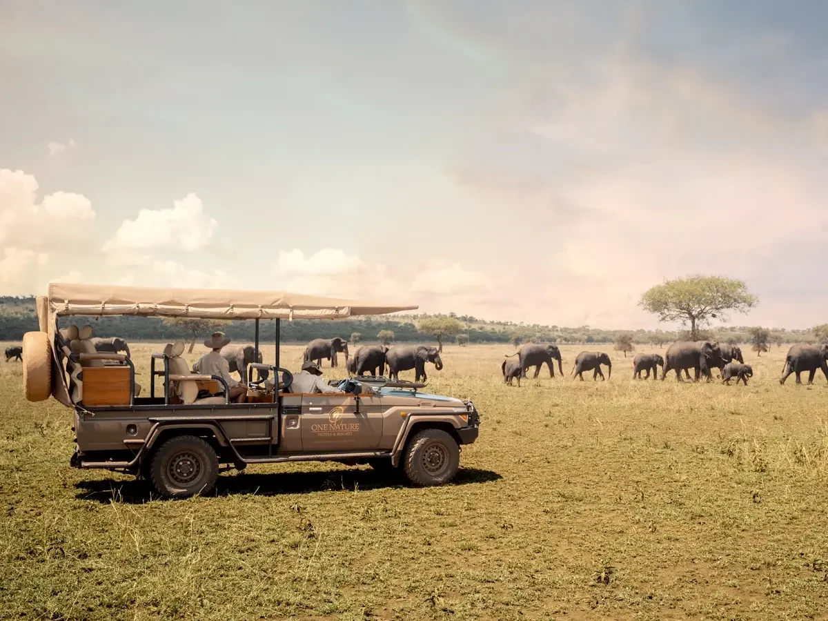 A safari vehicle watching elephant on the plains