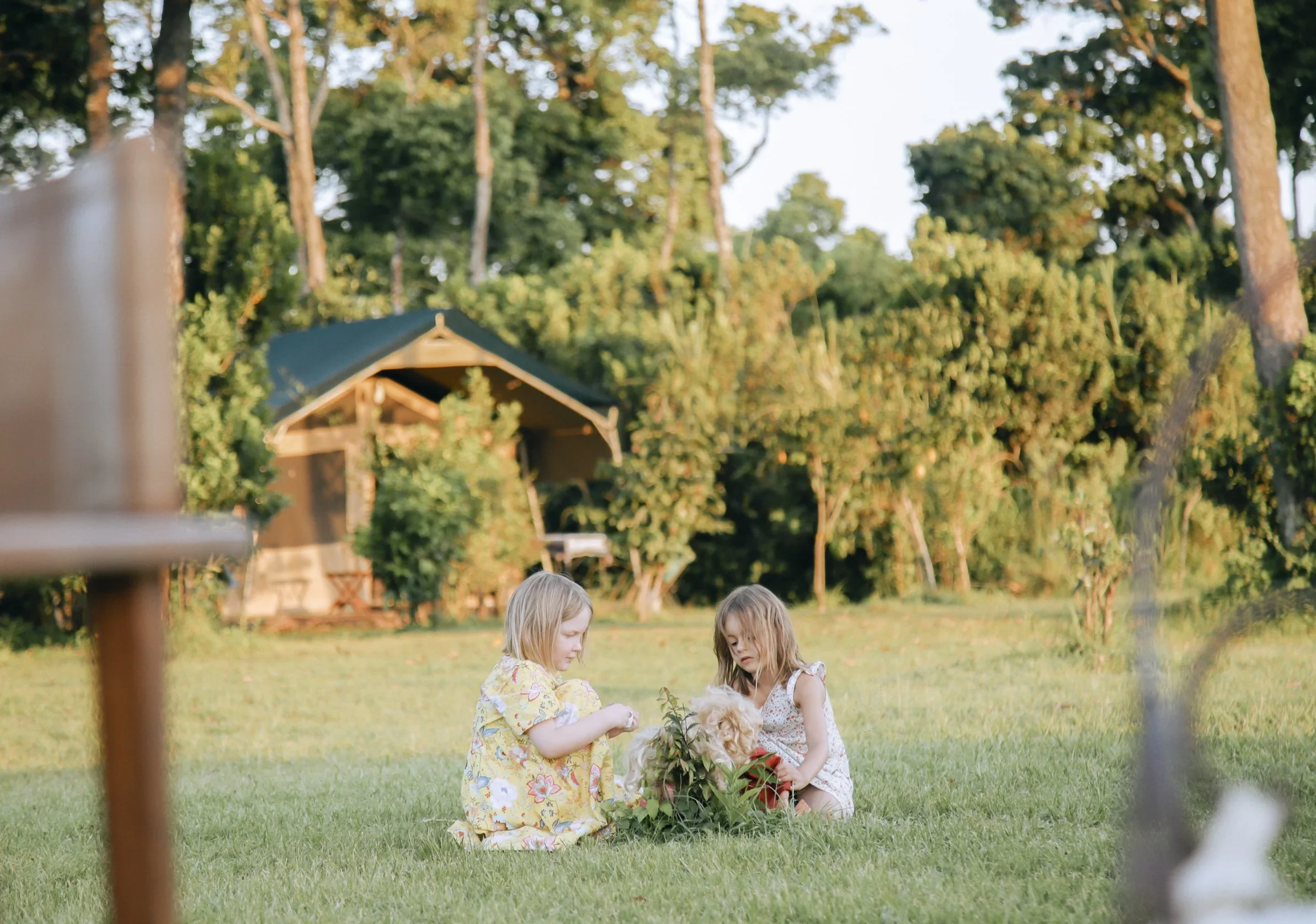 A picnic on the grass in front of a tent