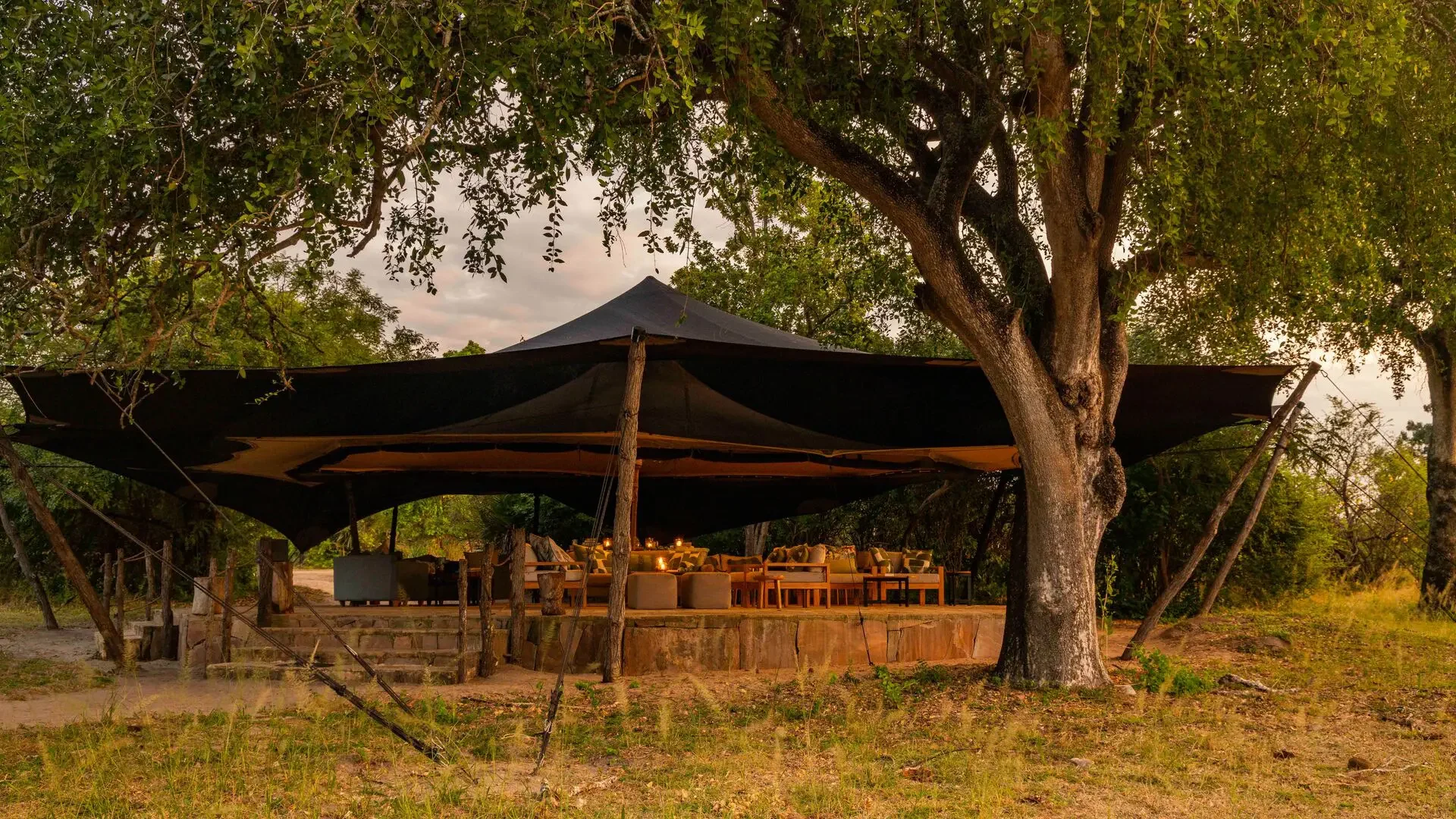 The main tent beneath a large tree