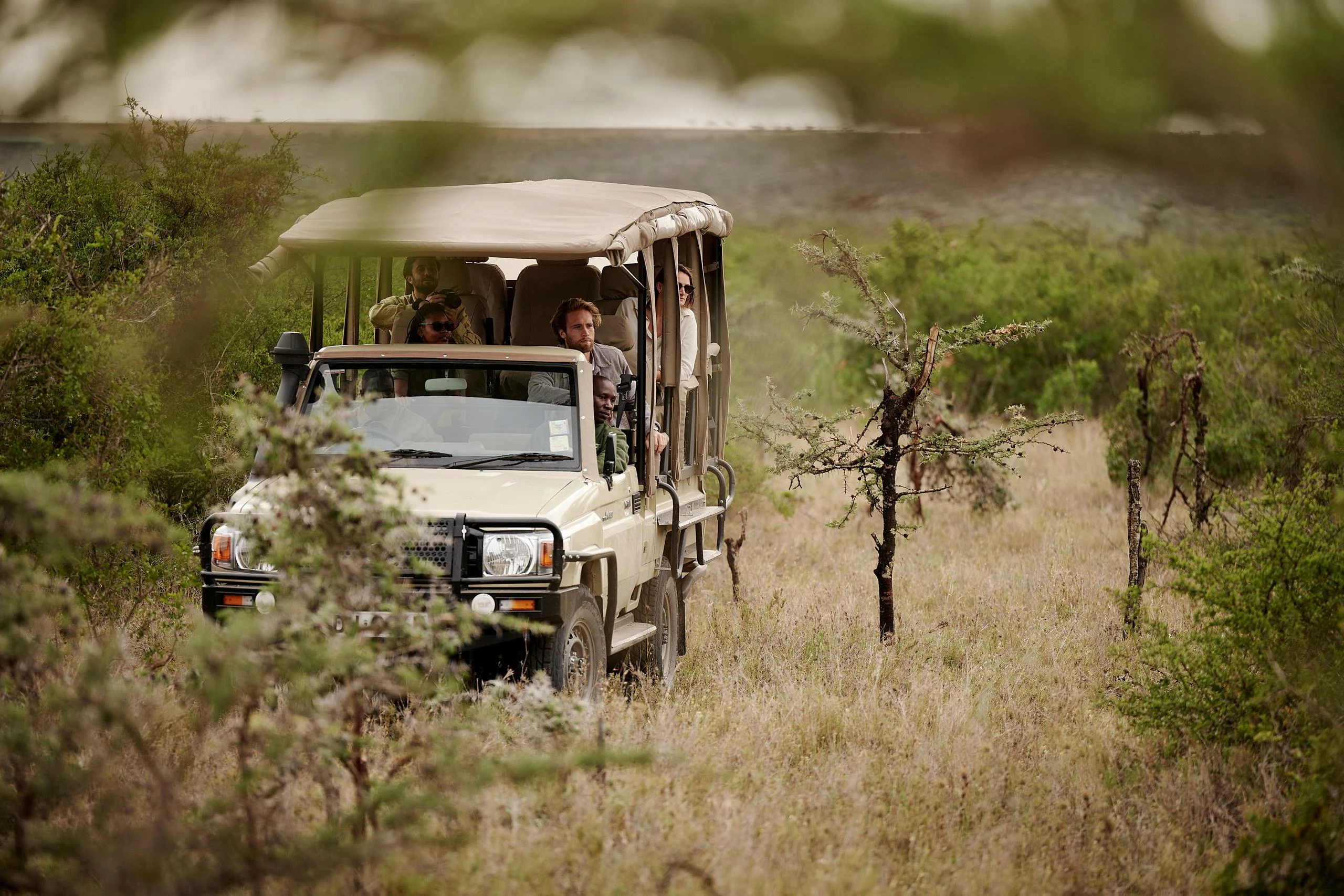 A game drive vehicle among the trees