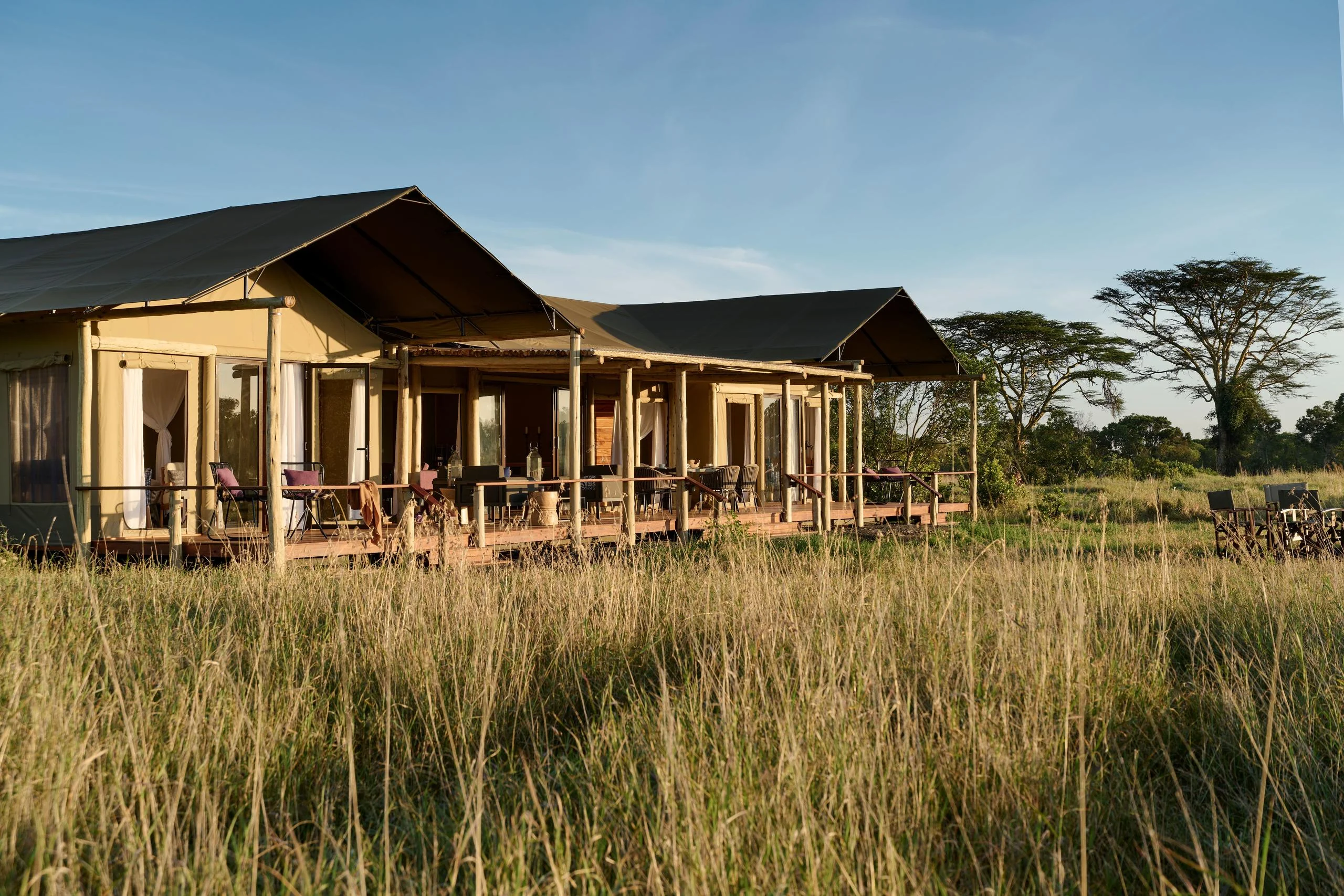 A tent in the long grass