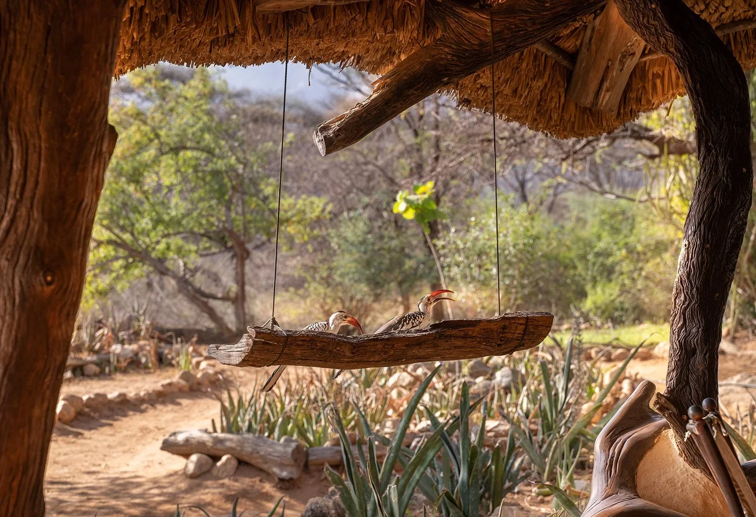 A hanging chair on a tent veranda