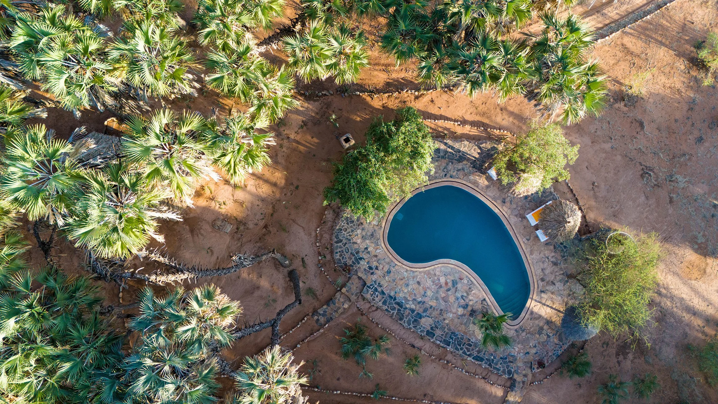 The pool among the trees, from the air