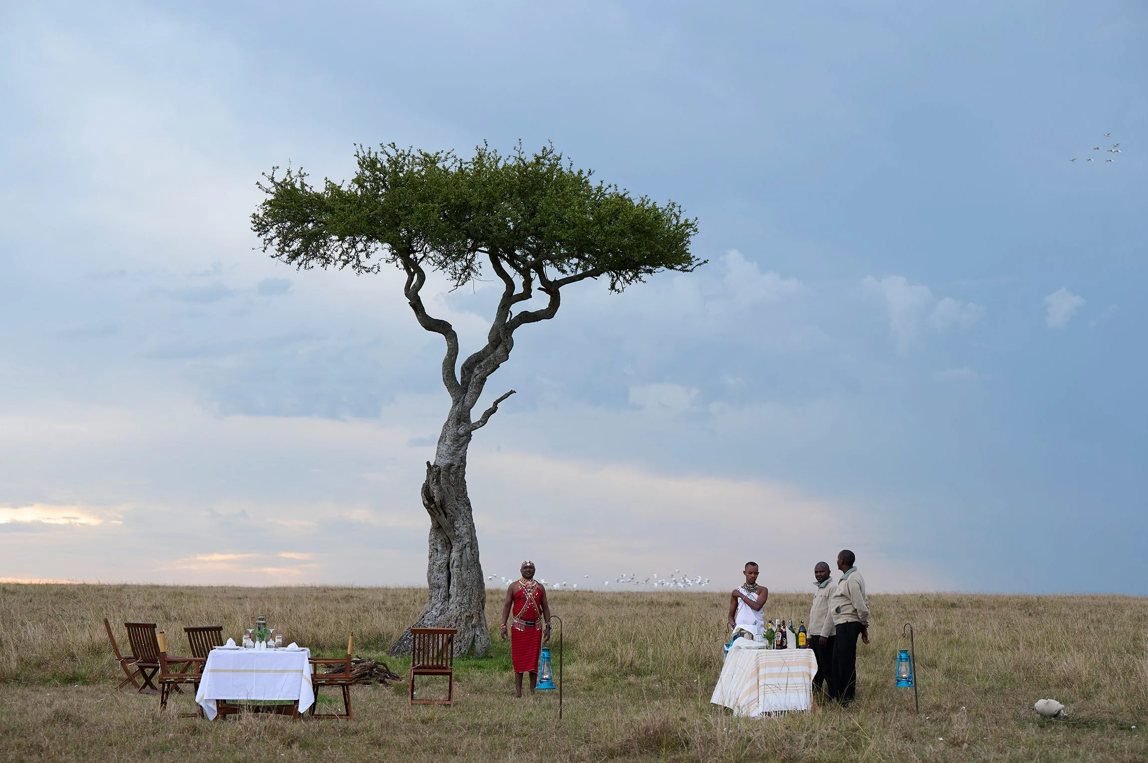 Dinner laid under a lone tree on the plains