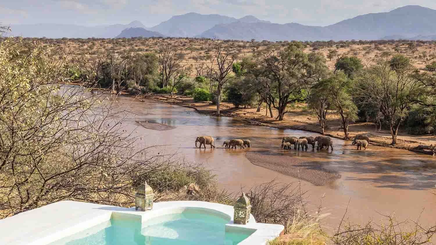 Elephants crossing the river below the pool