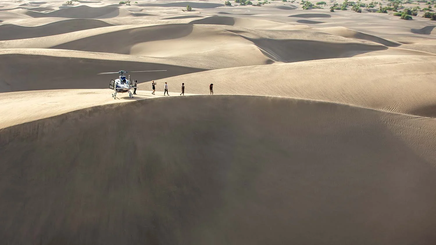 Walkers on the sand dunes
